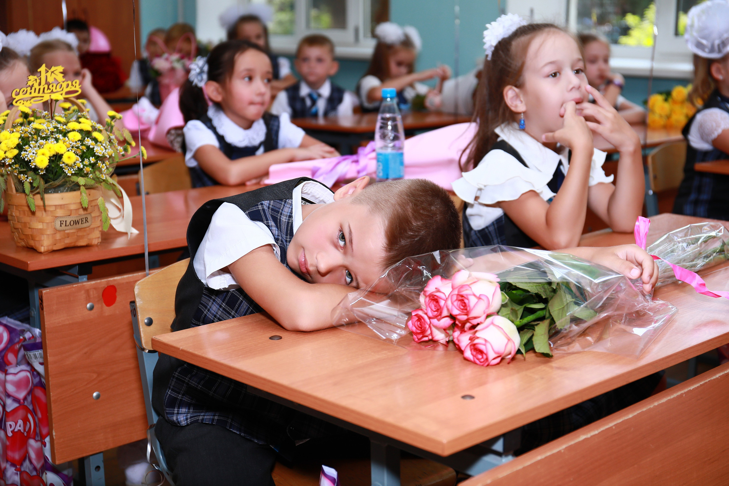 1 сентября (Школа 31). Детский семейный фотограф Краснодар