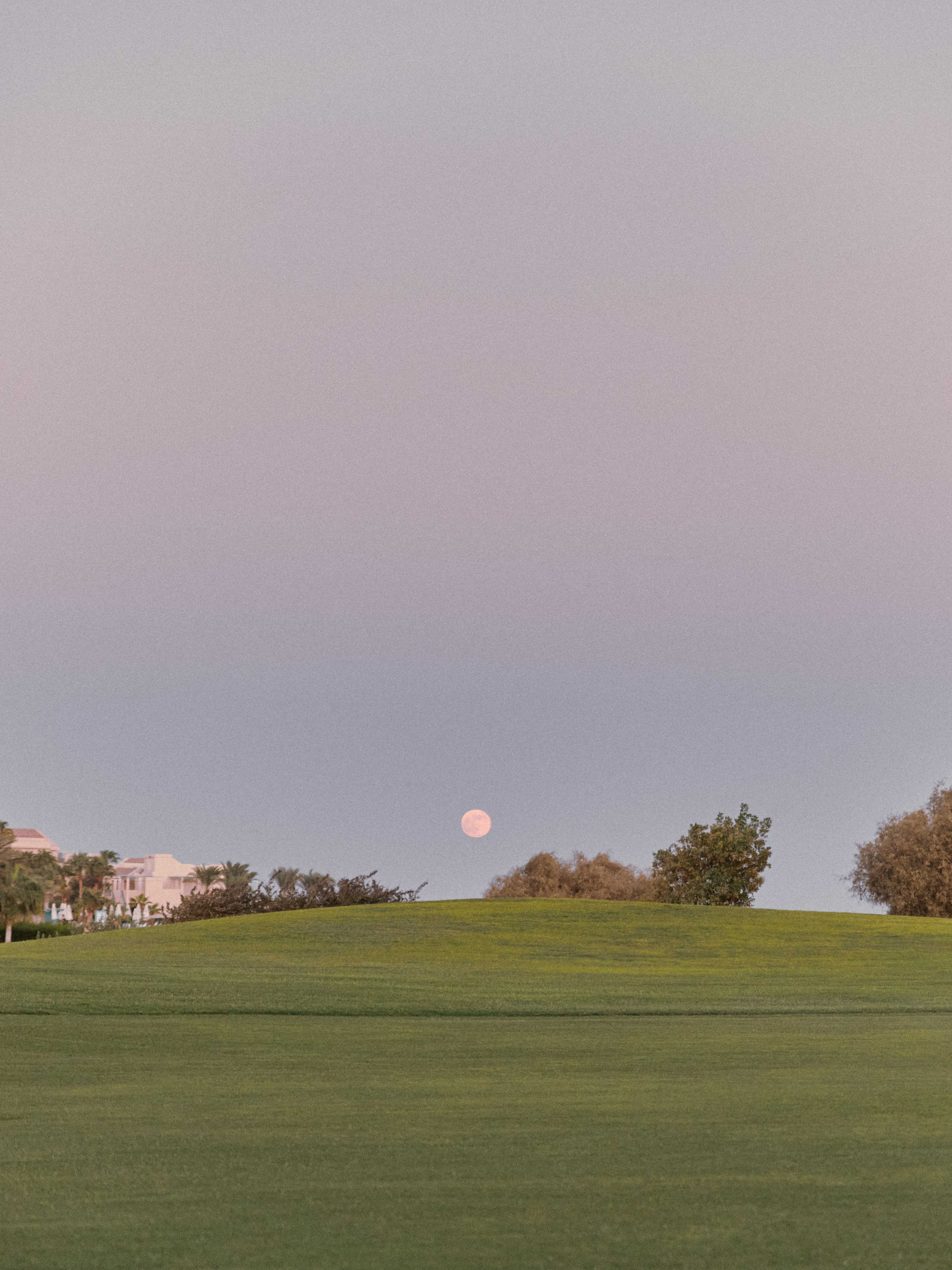 Улицы. Jorgis Talè — photographer, kind person, teacher of arts and other mag