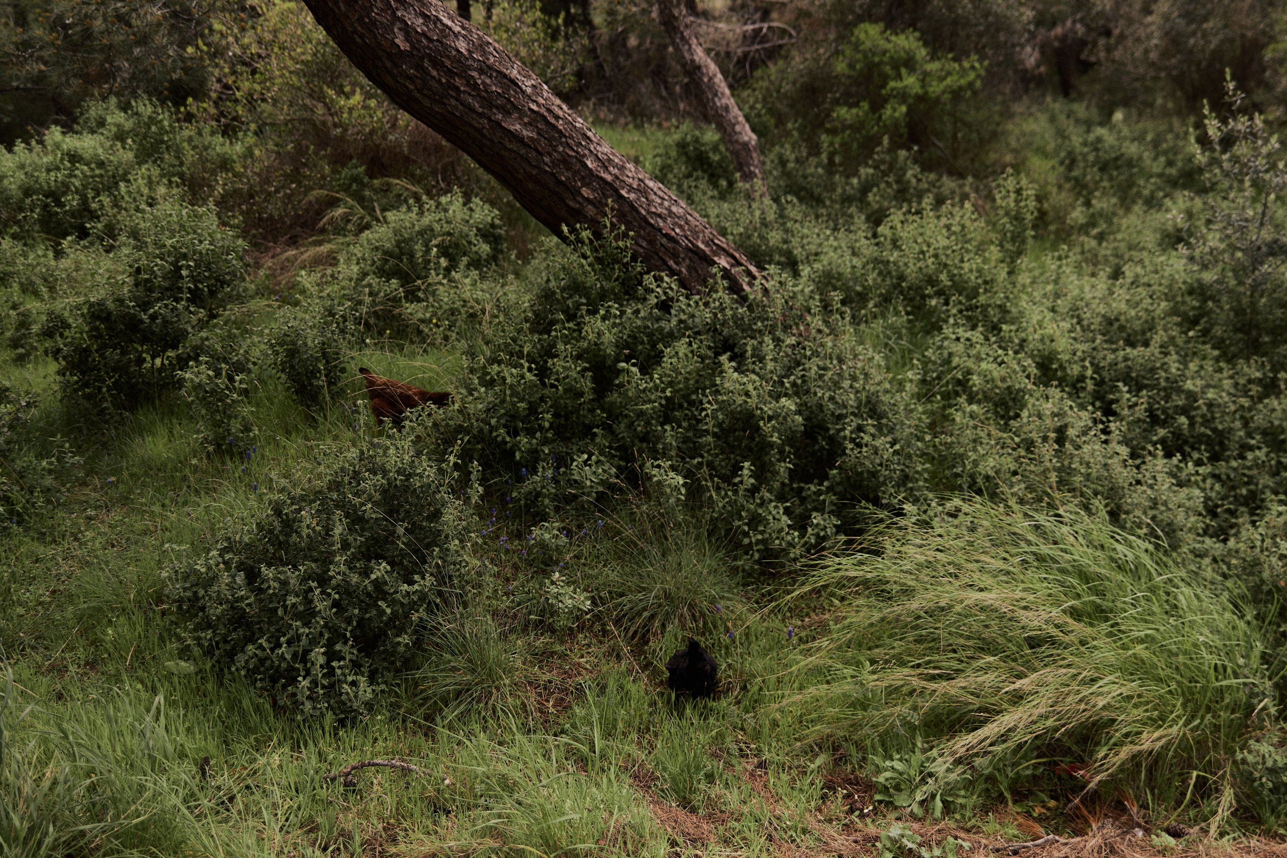 Улица горизонтальная. Jorgis — фотограф в Хургаде / обучение фотографии