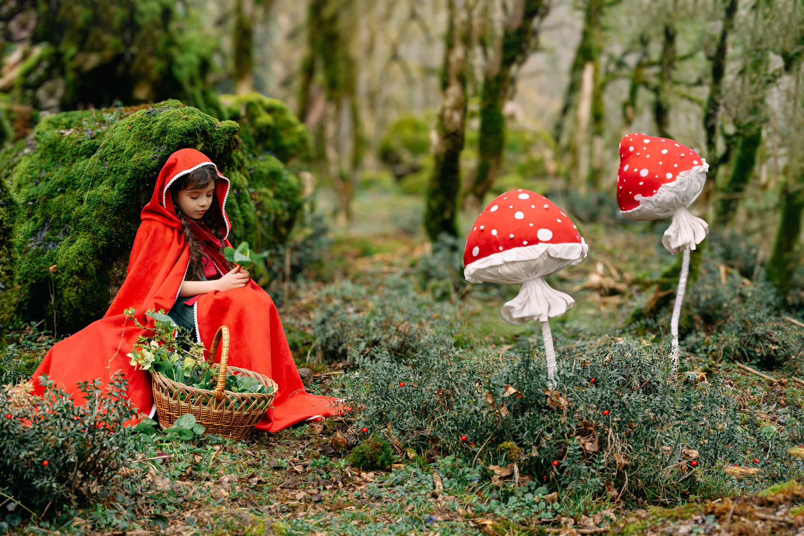 Красная шапочка