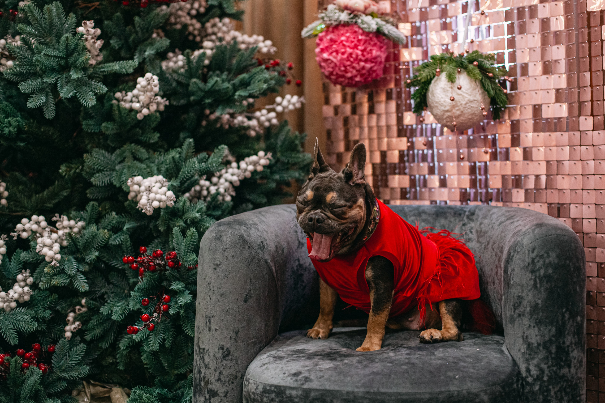 Бульёлка 2024. Фотограф-анималист Татьяна Степанова