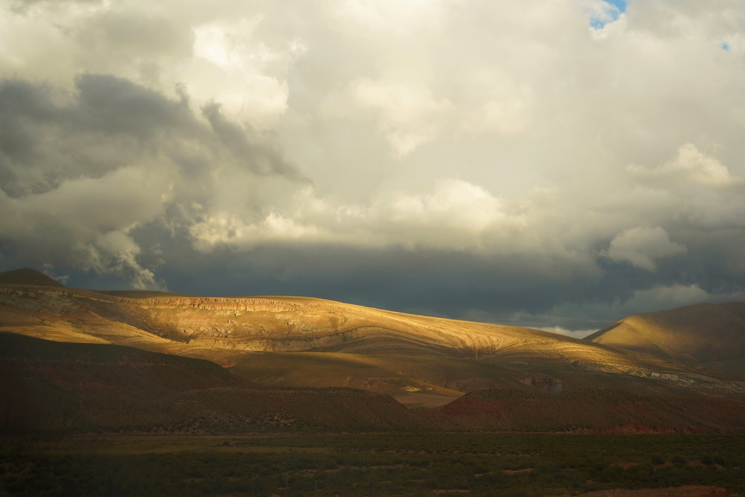 Купить фотографию пейзажа для интерьера