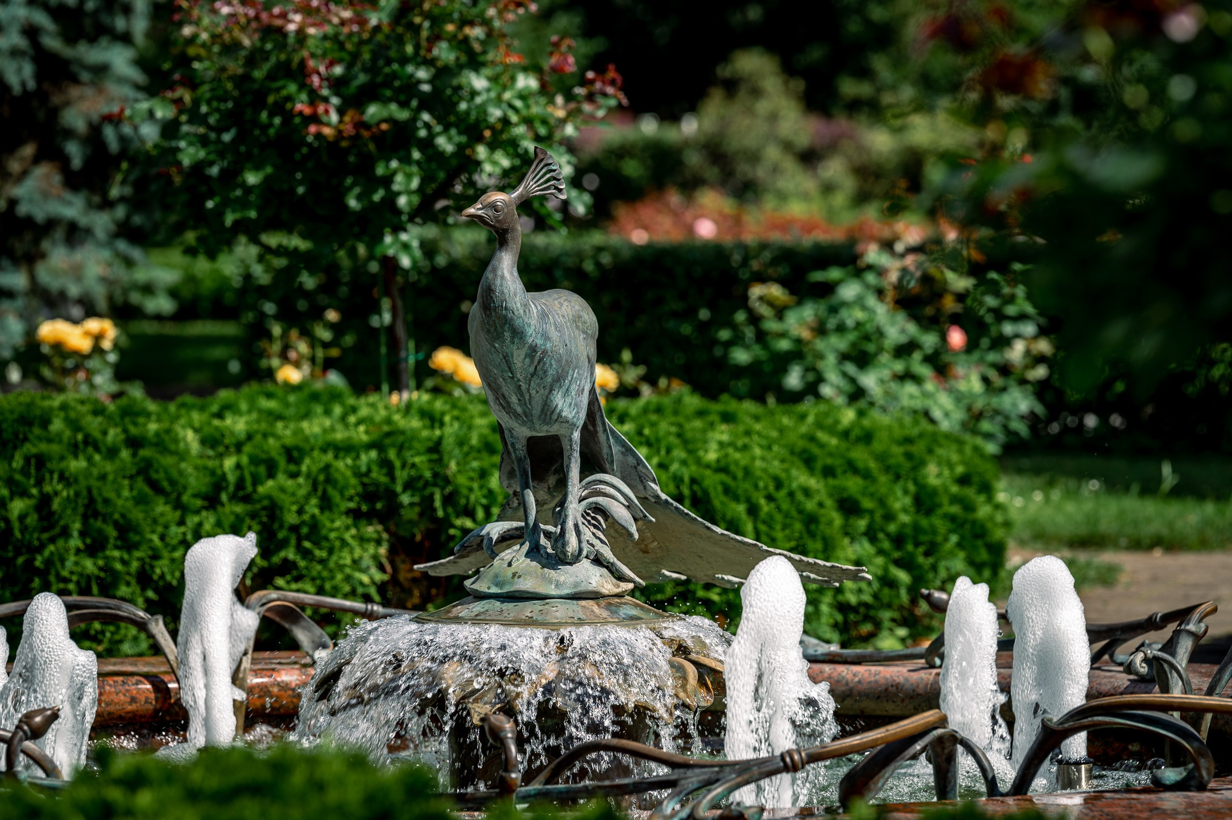 Соборная площадь Московского Кремля. Бизнес фотограф в Москве Алексей Кознев