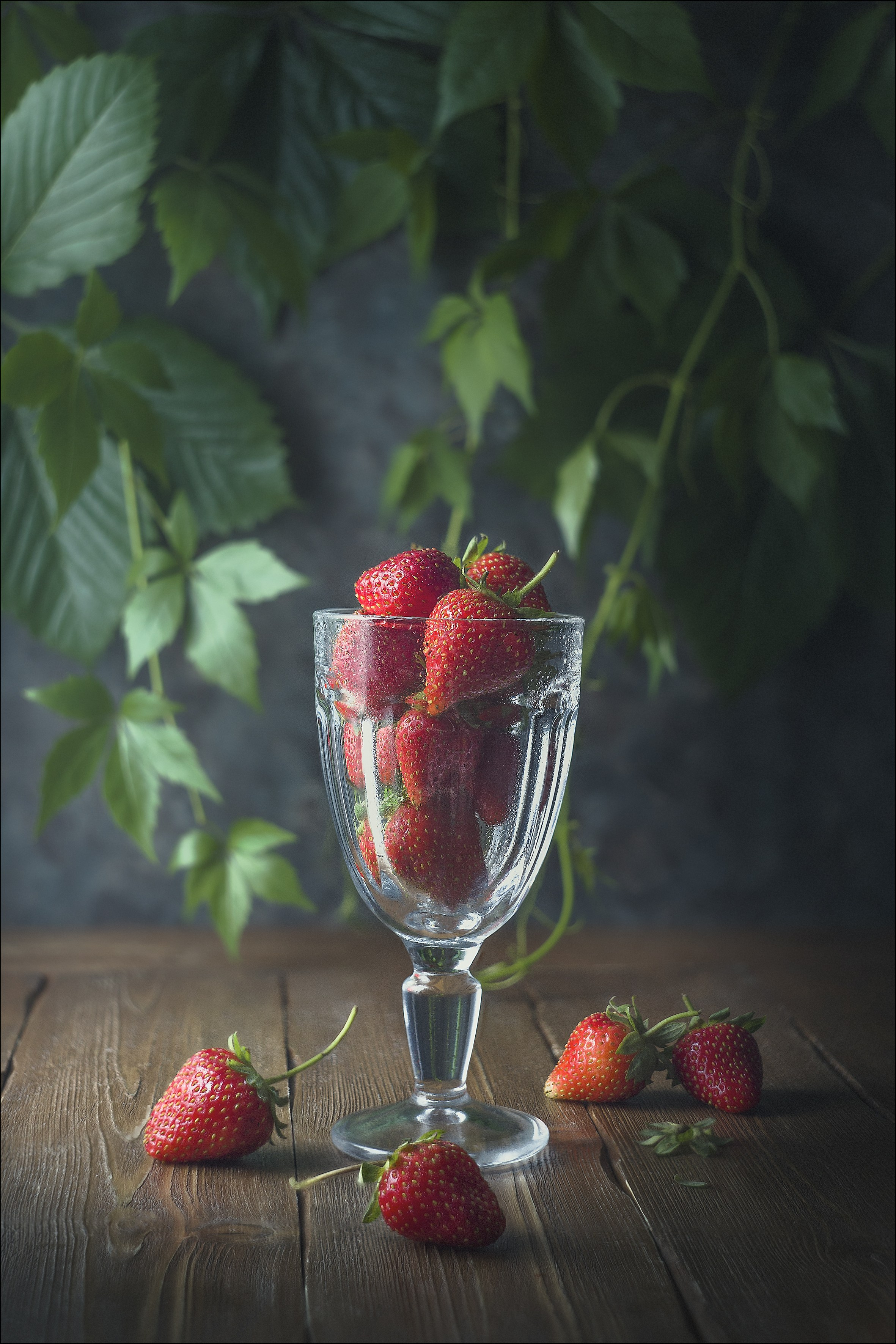 Яркие и ароматные фотографии композиций и натюрмортов. Предметный фотограф и фуд-фотограф в Москве Чикунов Максим