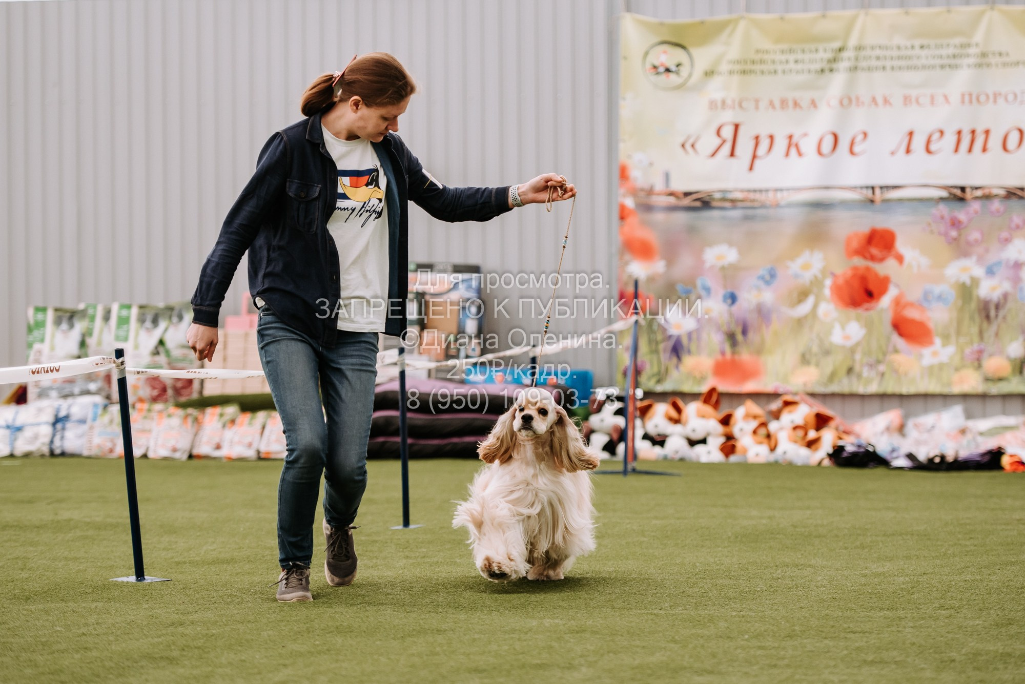 Выставка собак Красноярск 2.06. Фотограф Диана Оленина Красноярск / Братск