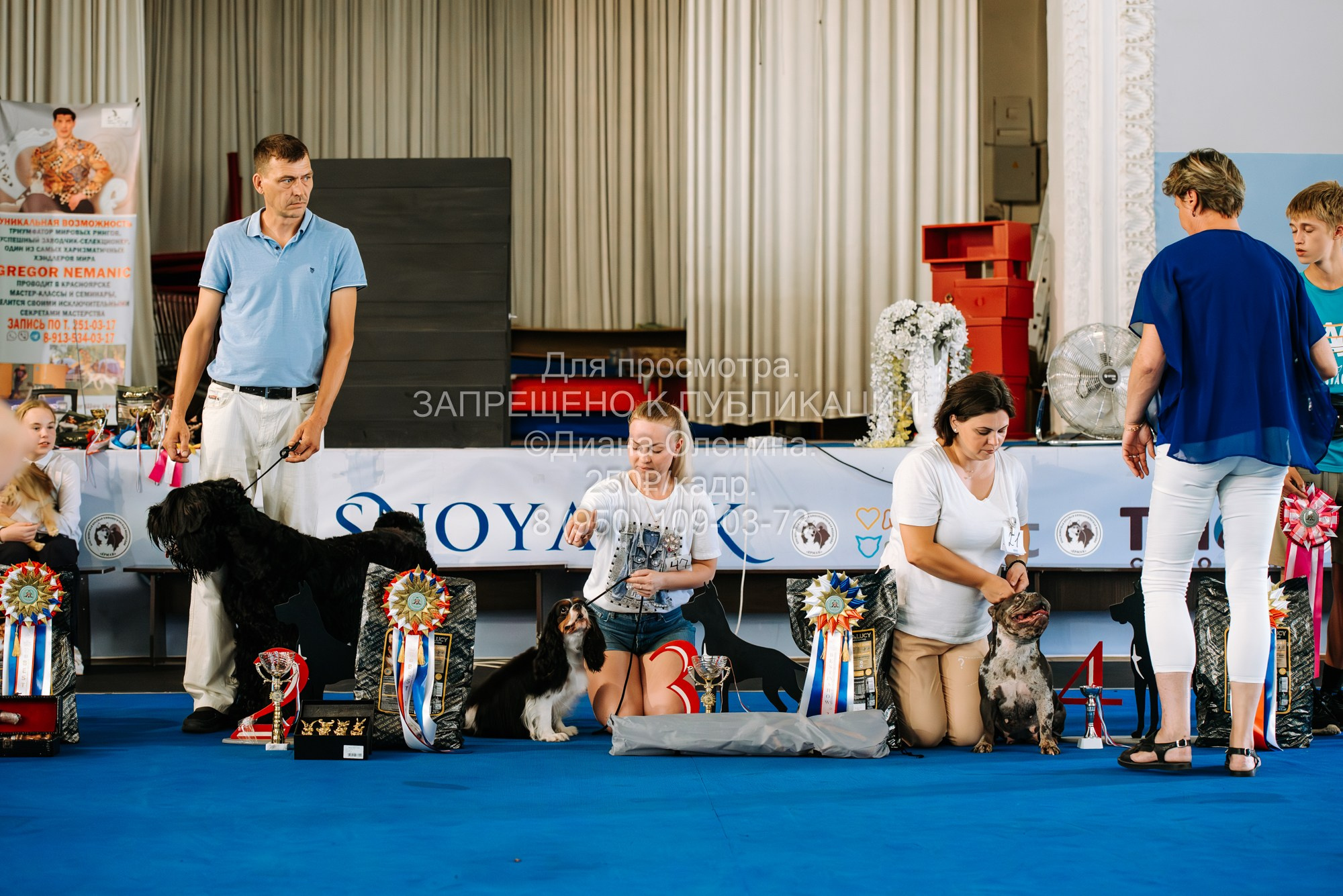 Национальная выставка собак всех пород ранга САС-IKU «Кубок Красноярск. Фотограф Диана Оленина Красноярск / Братск