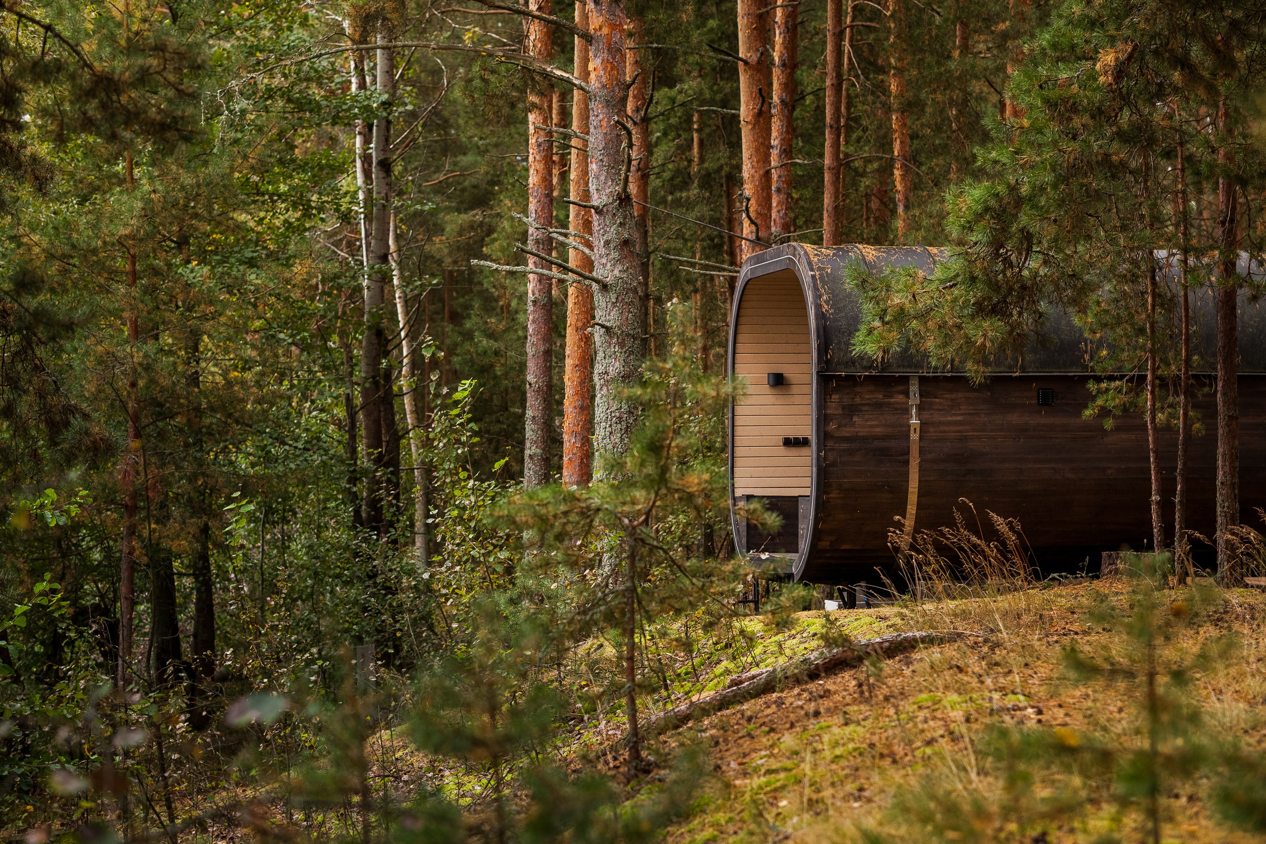 Остров «Свободы». Туманов Виталий — фотограф Москва