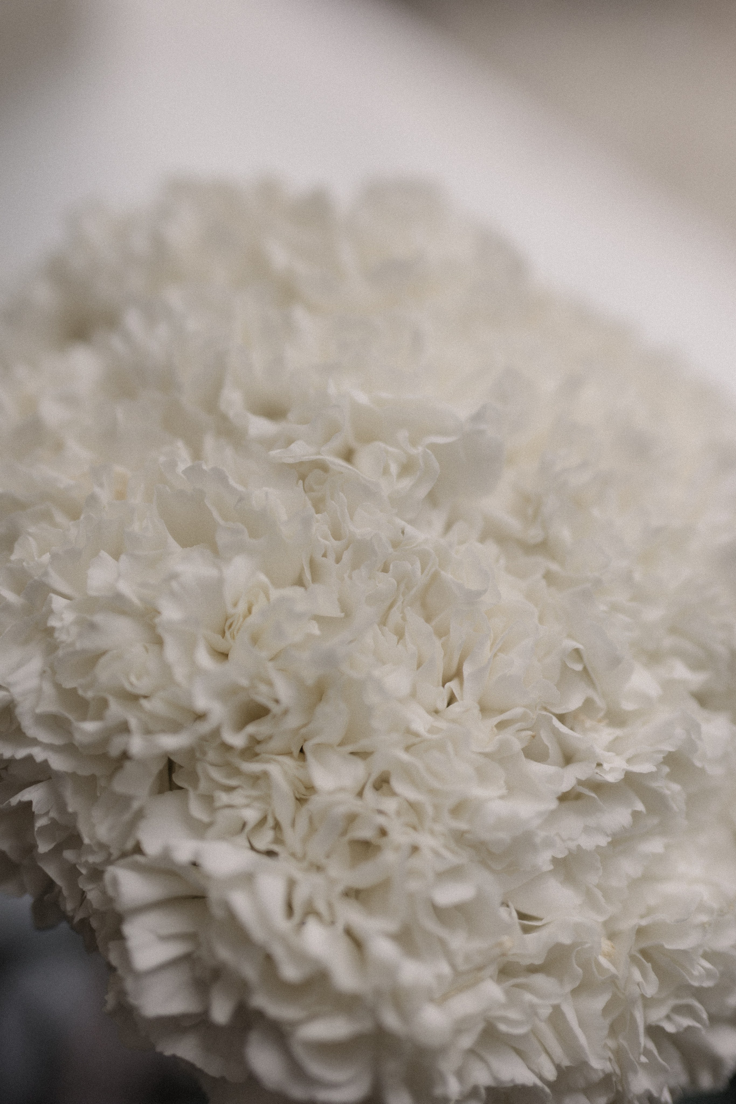 D & D. Свадебный и семейный фотограф в Астрахани Сергунова Наталья