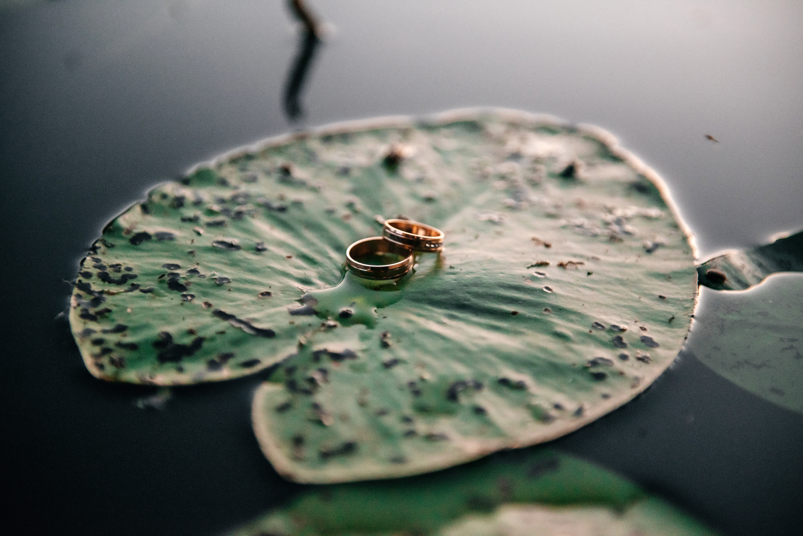 Карина+Саша. Семейный фотограф в Минске Саша Павлюк