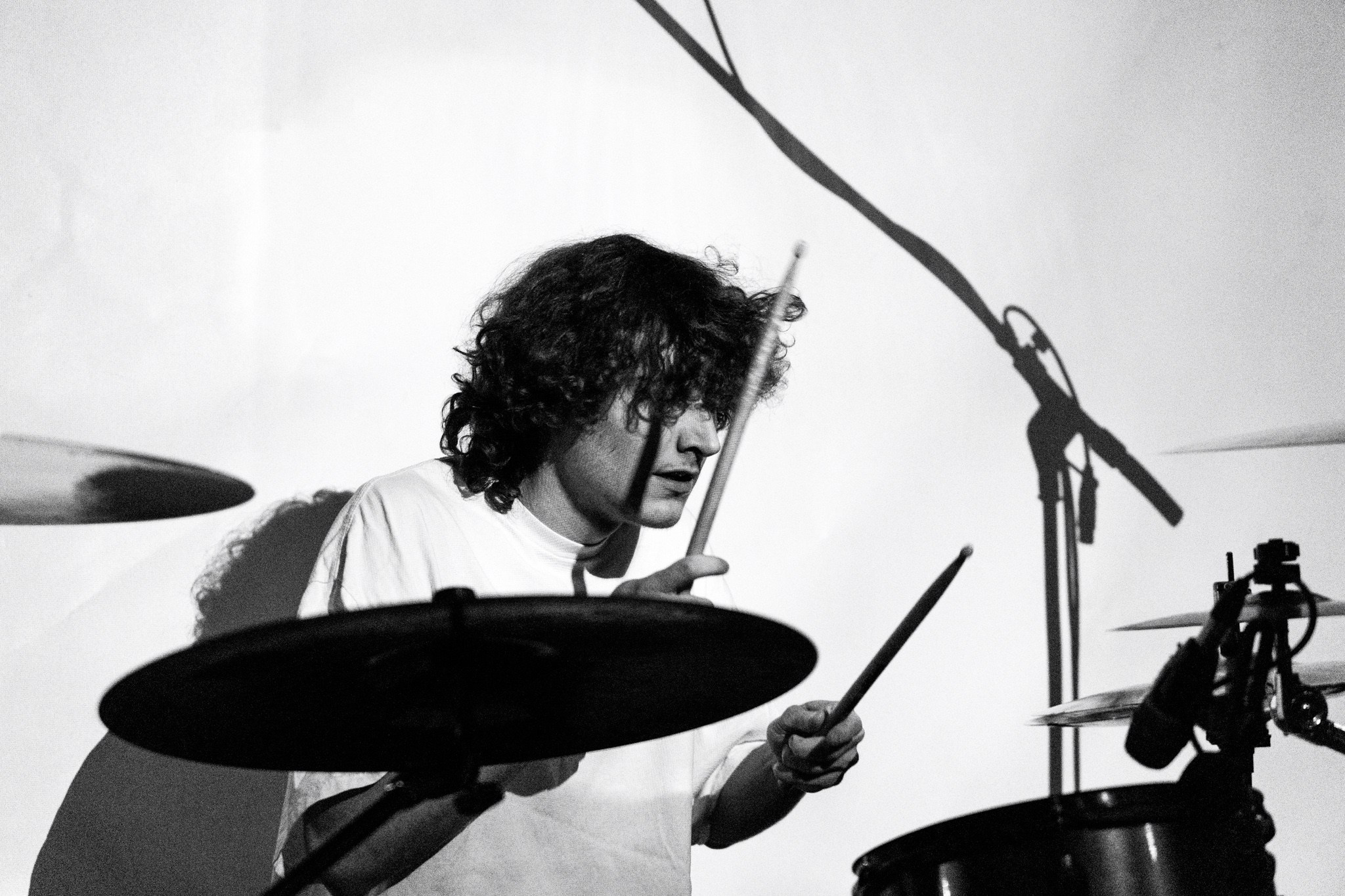 Змееед, Apodemus, 20.12.25, TAGO)))MAGO)))