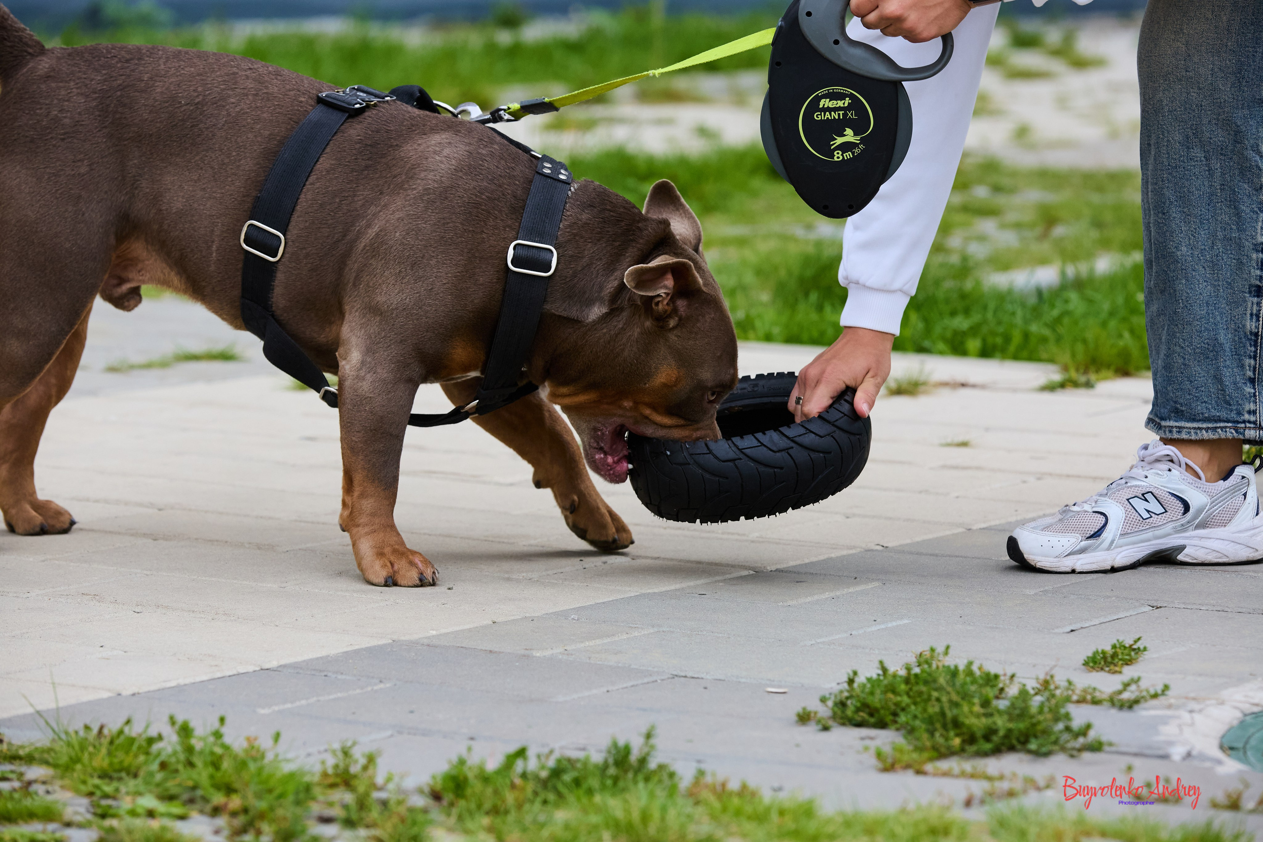 Проект фотопрогулка с хвостиком. Buyvolenko Andrey