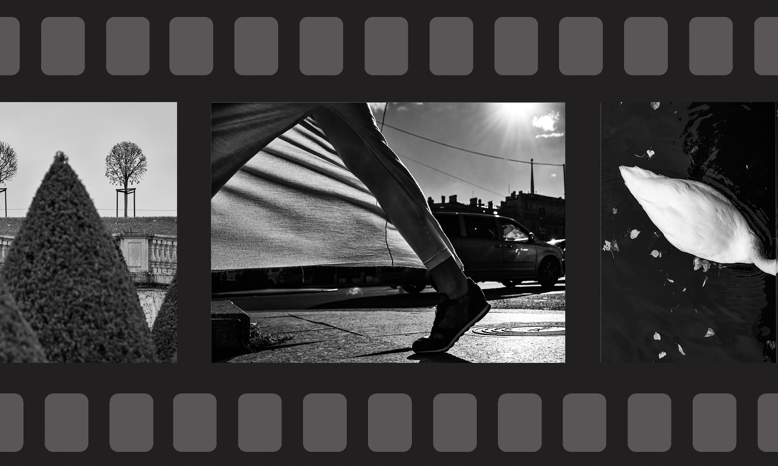 Dimitri Bakhtadze, contacts. Dimitri Bakhtadze photographer