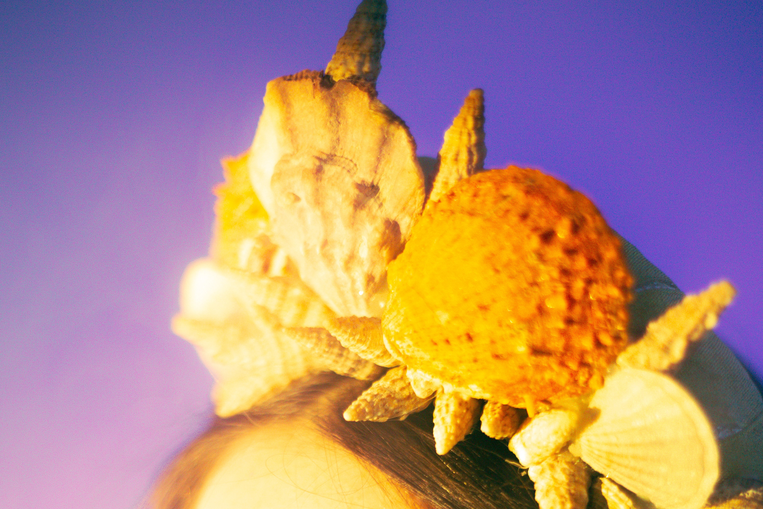 Русалка. Арт-фотограф Крис Л. в Тобольске: портрет, семейные, свадьбы