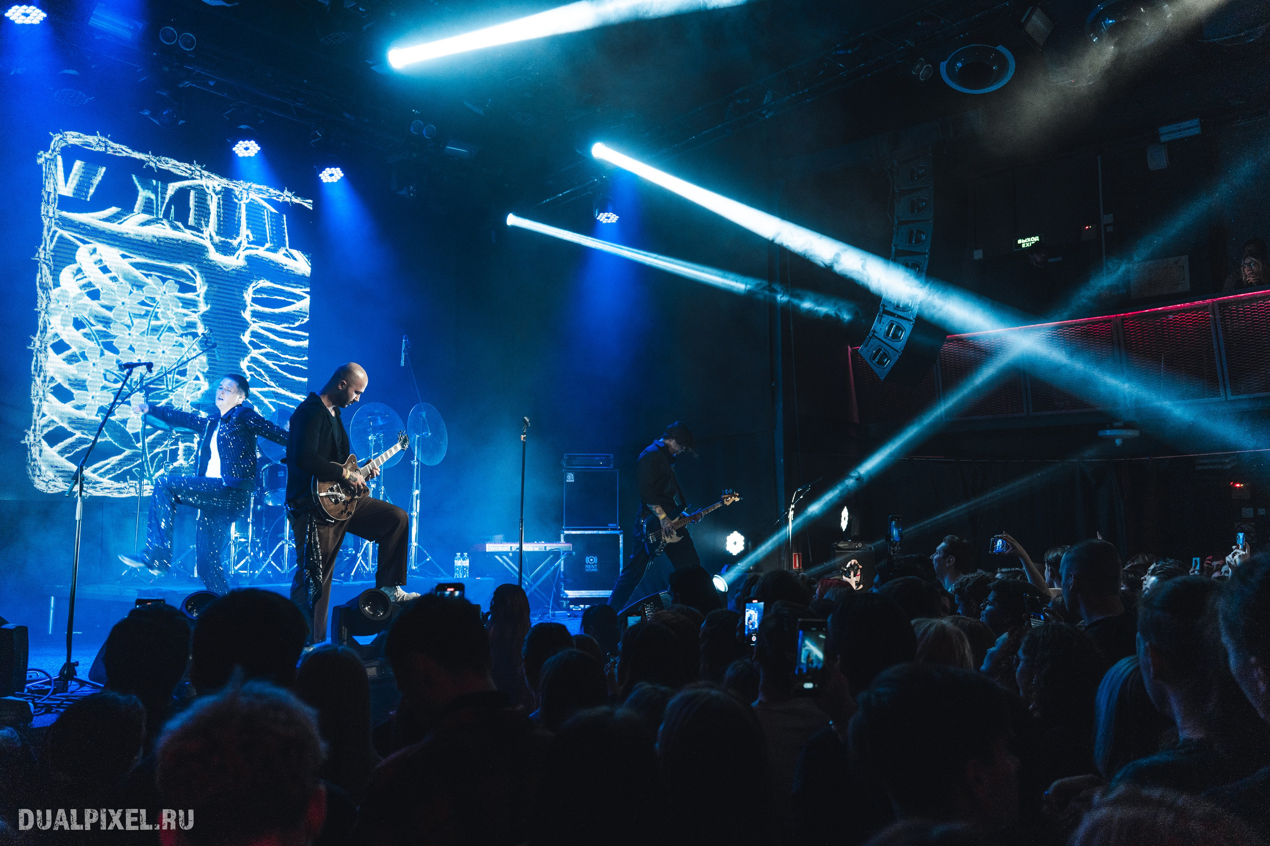 Stervell. Магия музыки в кадре: Концертная Фотография