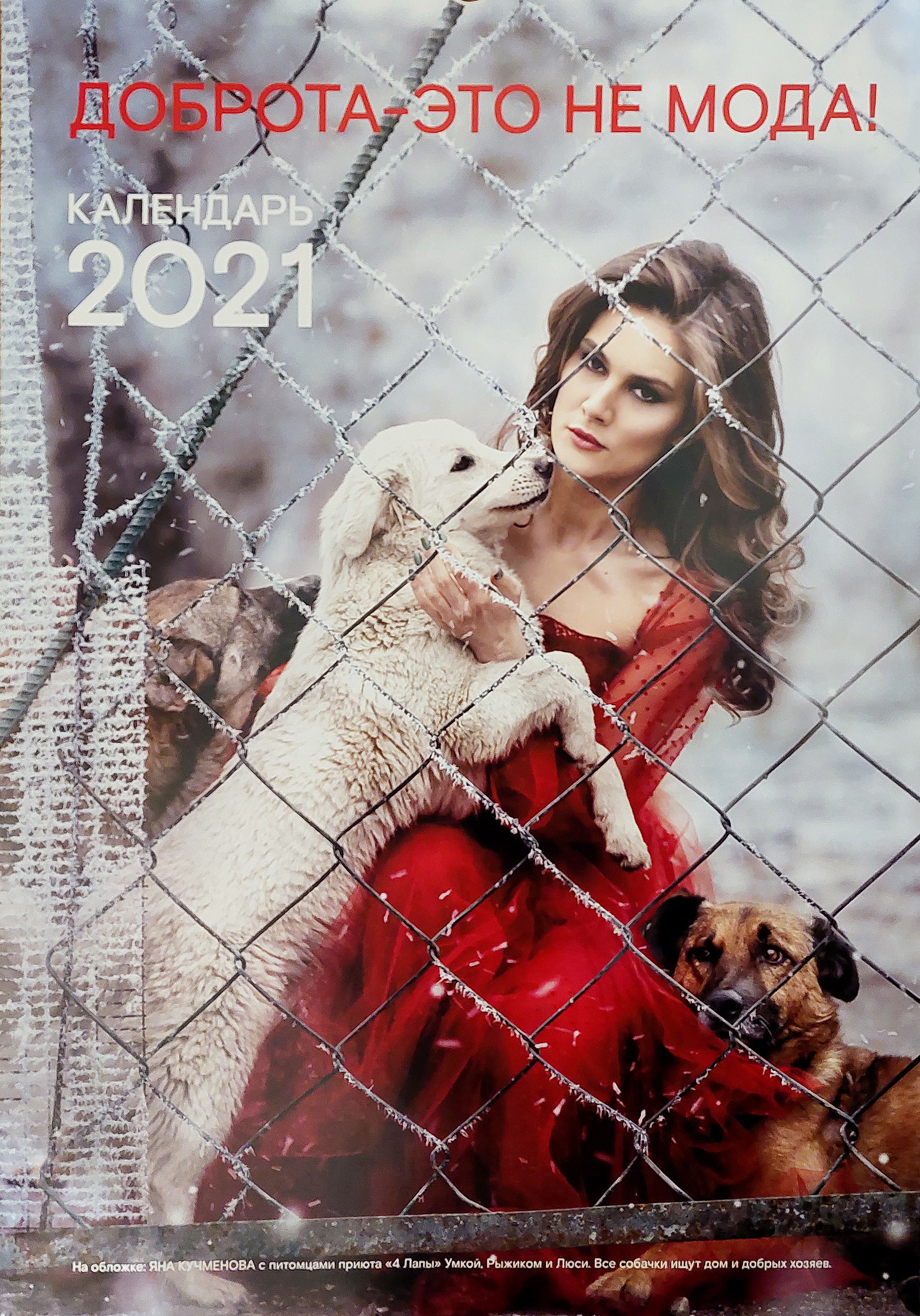 Обо мне. Ньюборн фотограф, фотограф новорожденных г. Нальчик Залина Афаунова