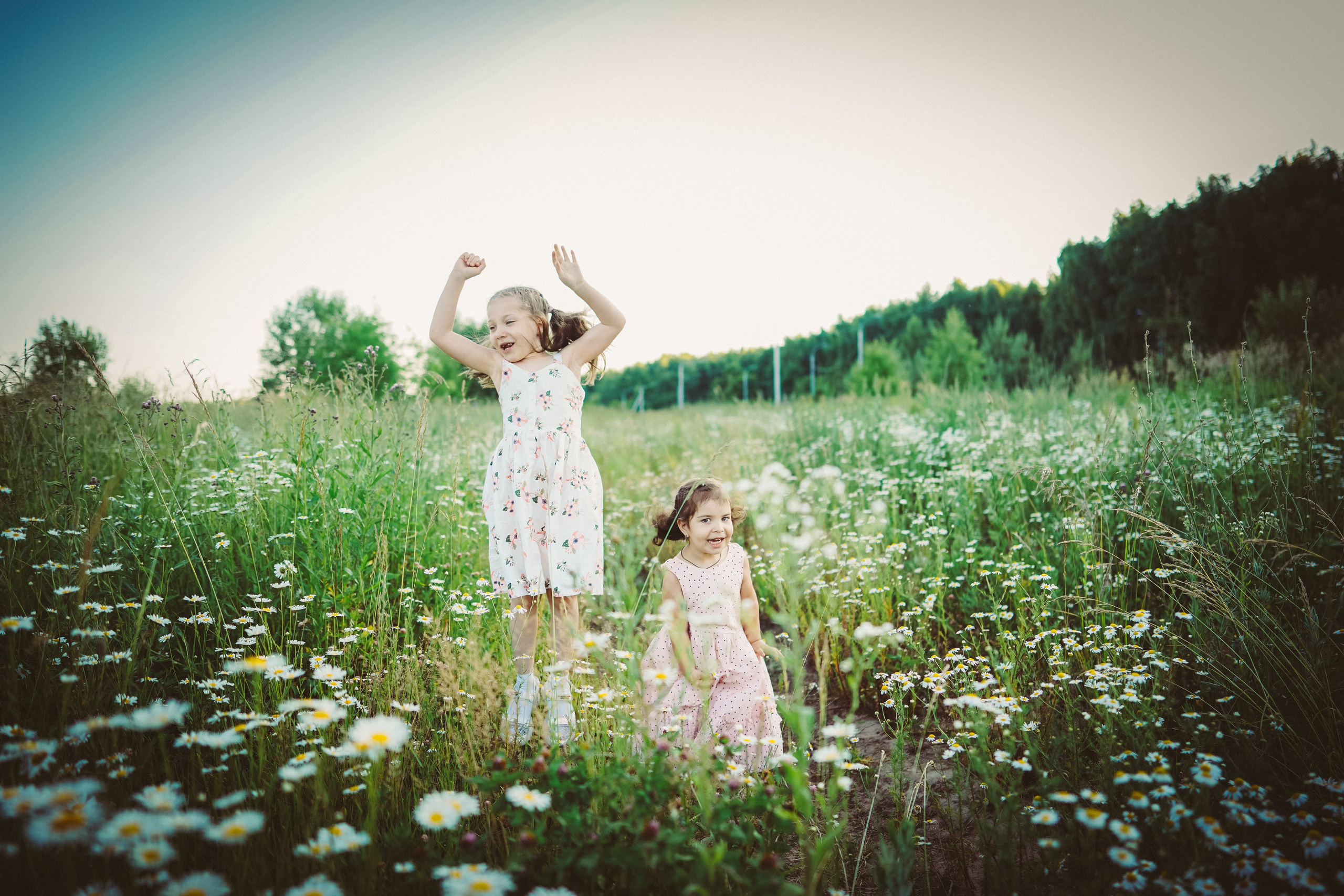 Аня и Даша в ромашках. Семейный и детский фотограф в Москве (Тинао) Галкина Алевтина