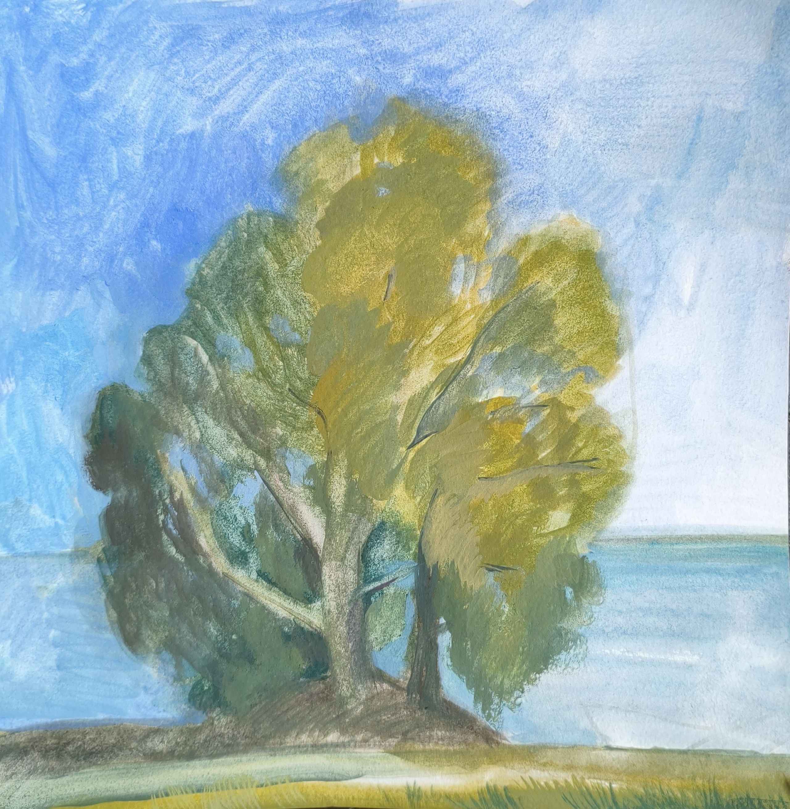 Пленэр КИЖИ 2025. Семенова Елизавета художник, керамист, преподаватель