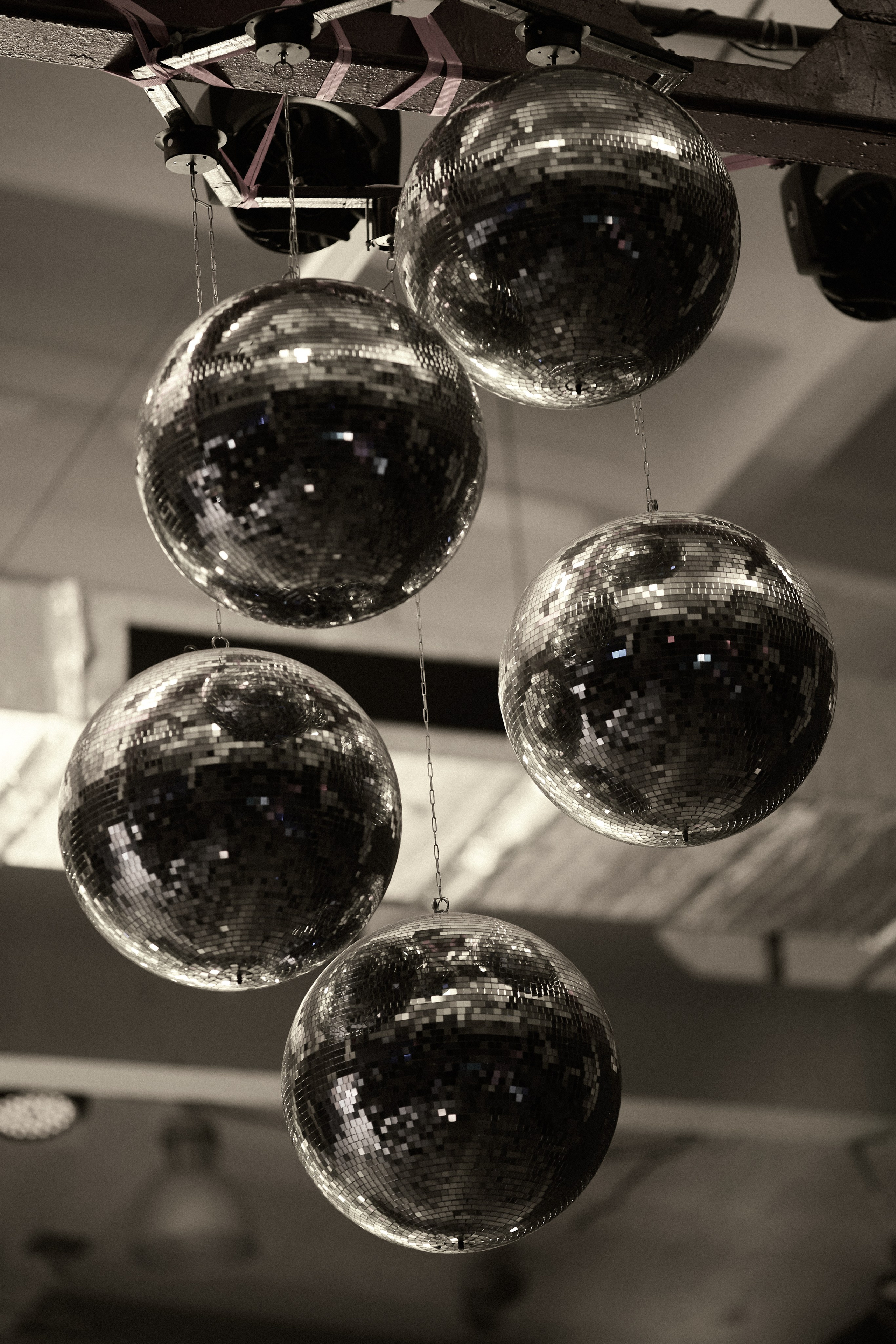 КОЧКА. Фотограф Айвазова Наталья Краснодар