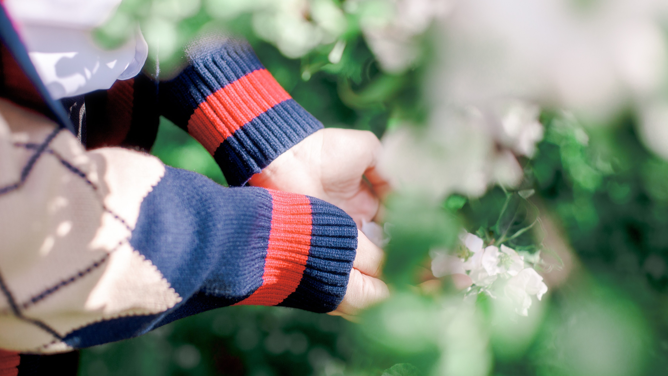 Love & Deepspace: RAFAYEL [Flower]. Polaroud love