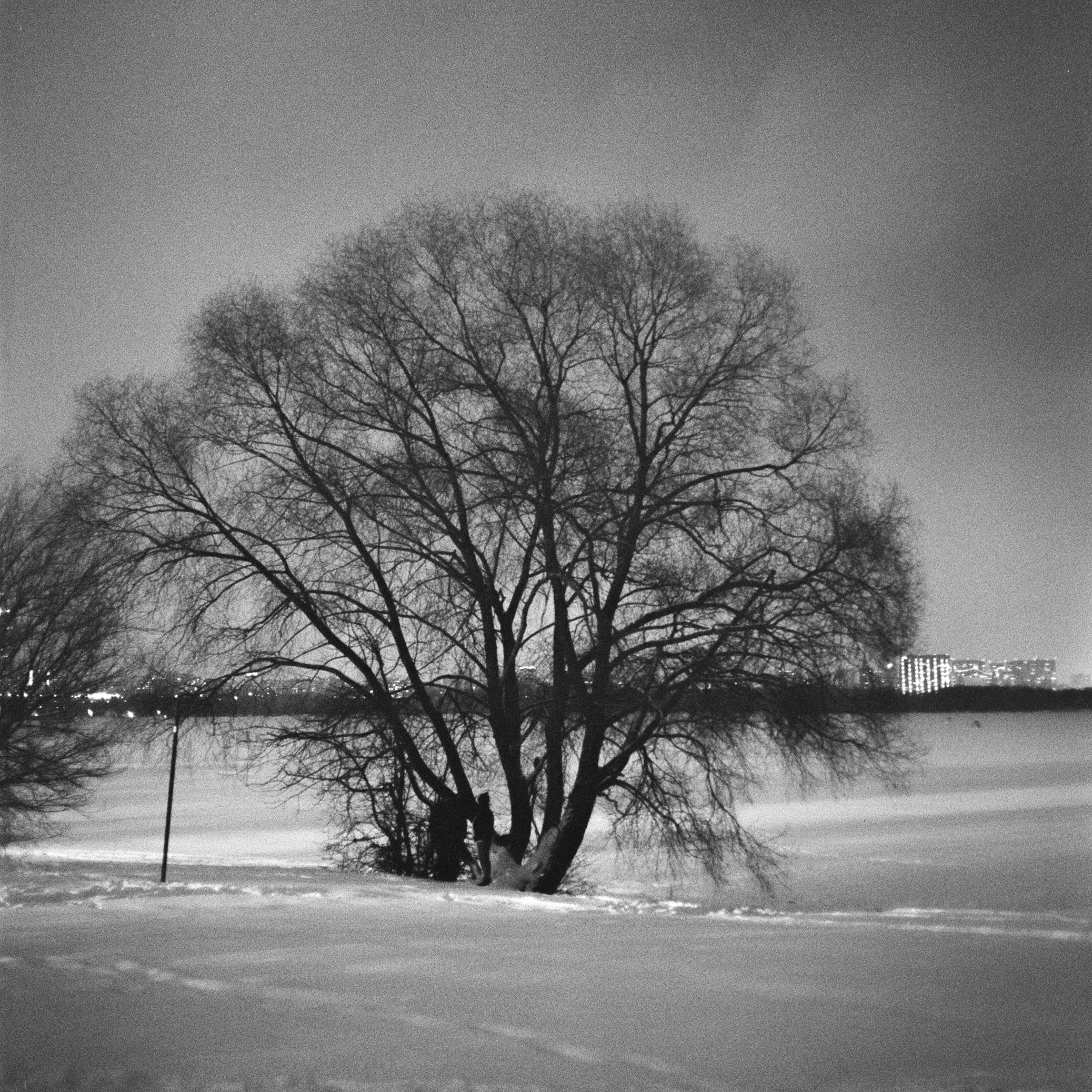 Обзор фотоаппарата Voigtlander BESSA-T. Мои первые впечатления