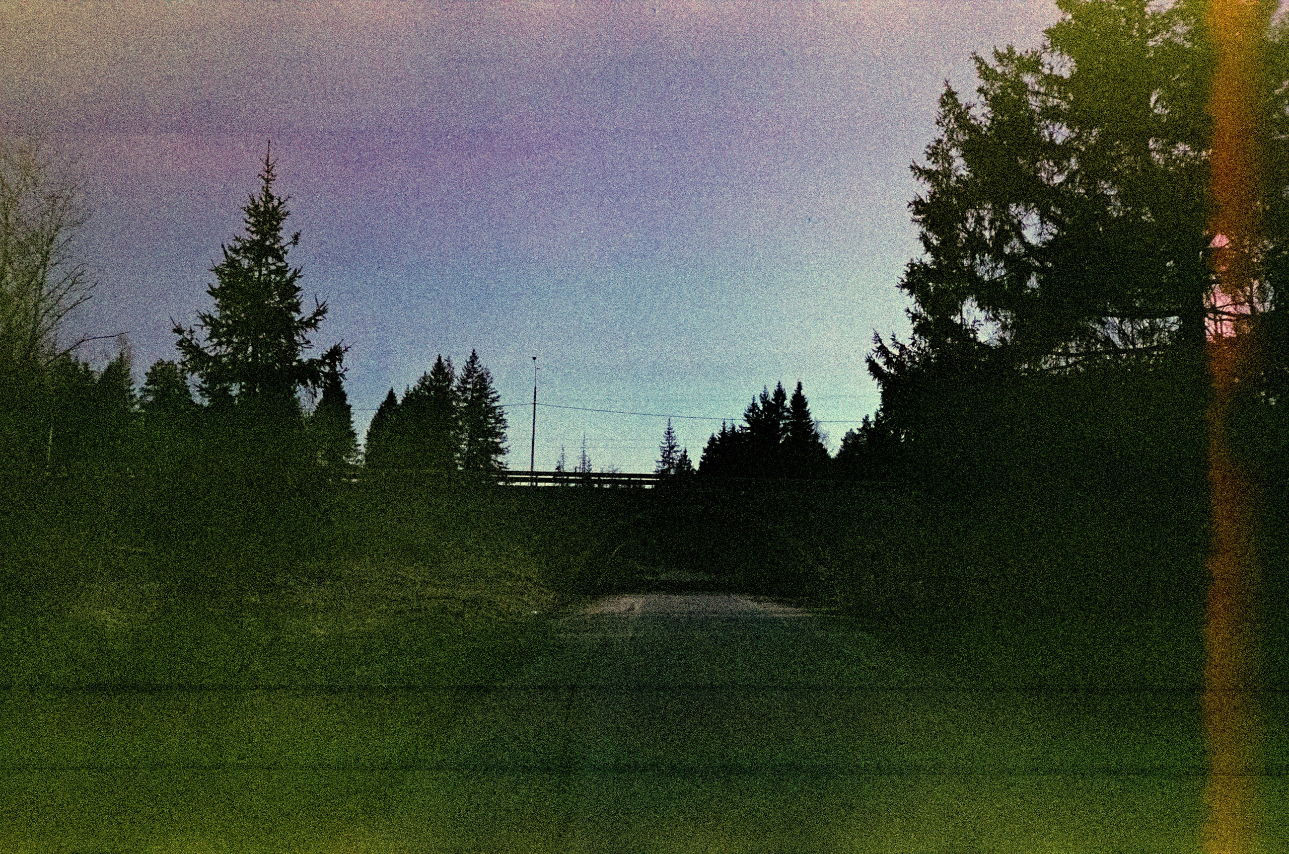 Ricoh R1 | Fujicolor Superia X-tra 400 (просрочка) @ ISO 100