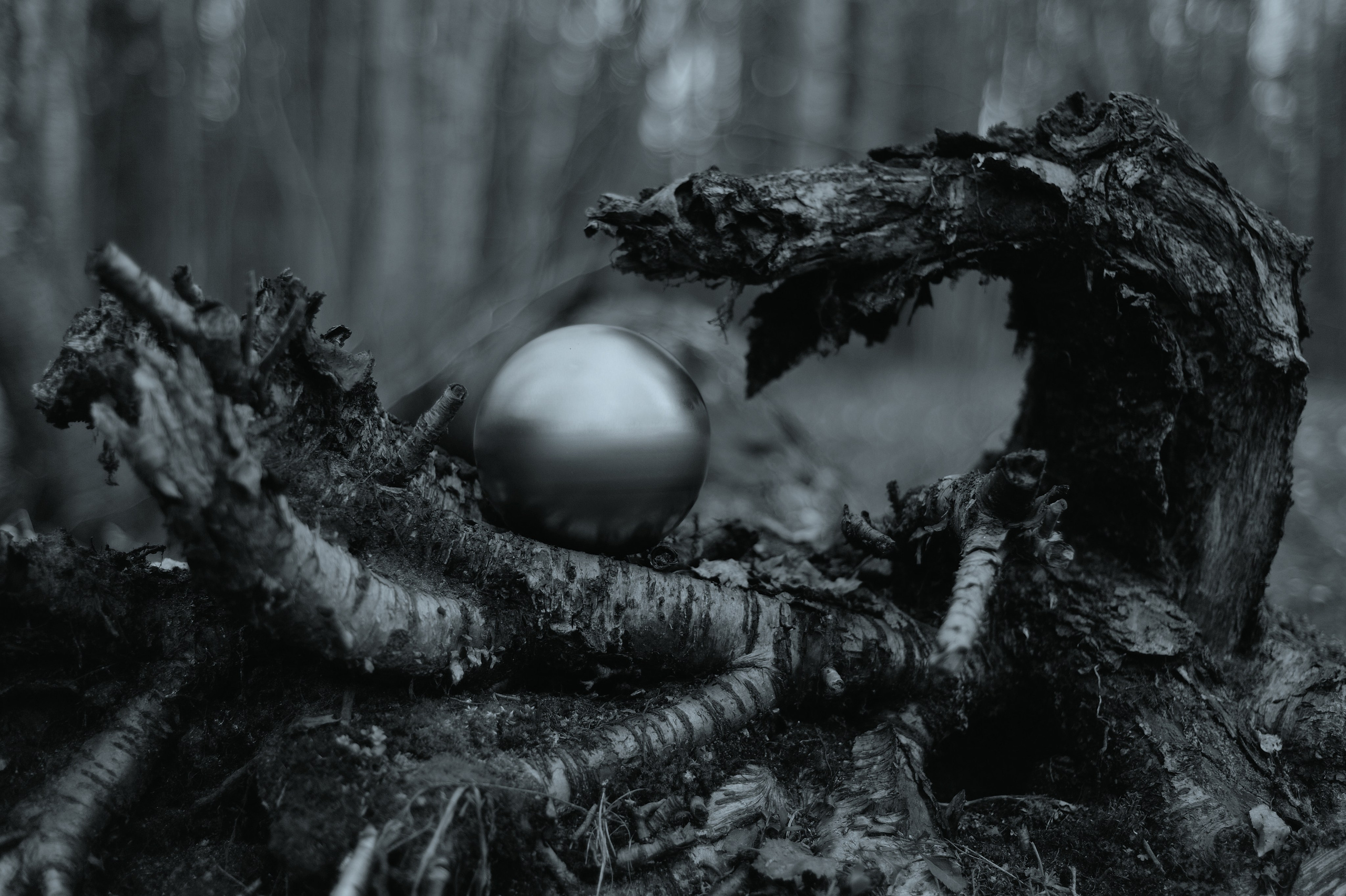 На грани Миров. Катерина Михеева