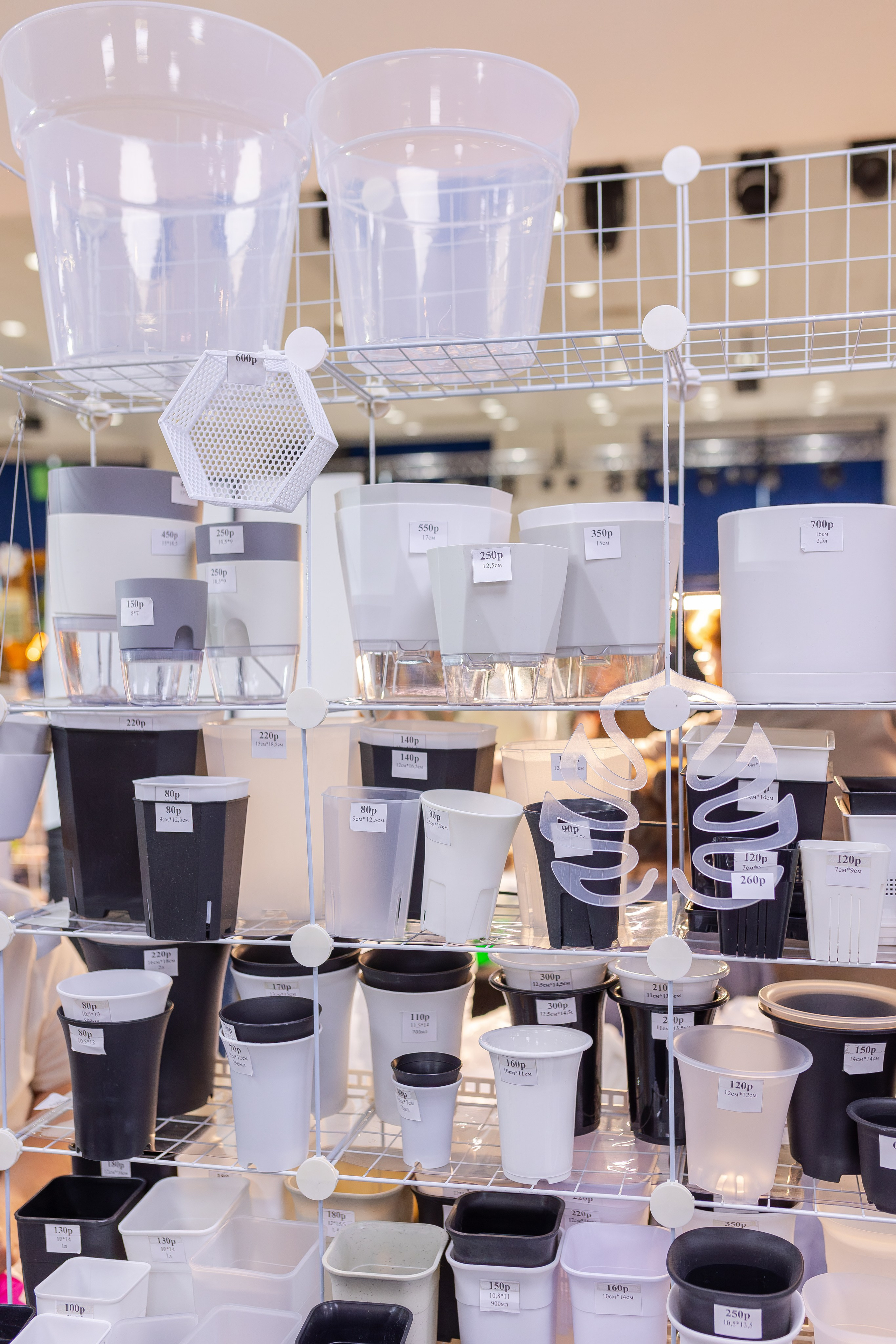 Монстериум апрель 2026. Александра Куликова фотограф, Москва