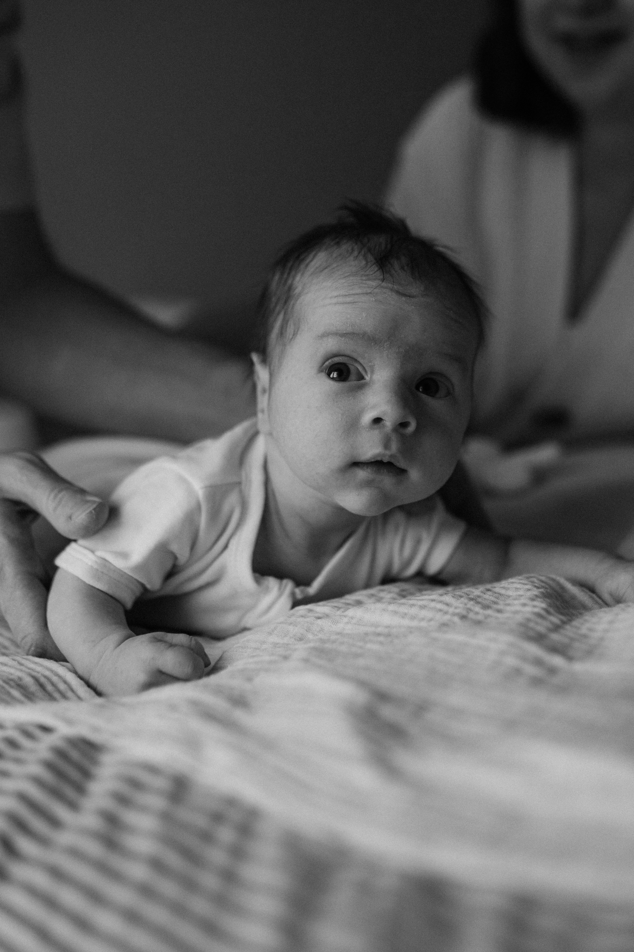 Даша, Ваня, Лео. Семейный фотограф Москва