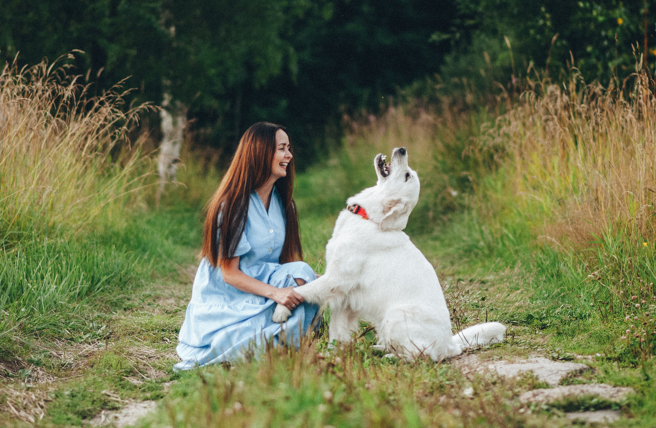 Съемка с любимым питомцем. Юлия Щёкотова | Портретный и семейный фотограф | Вологда