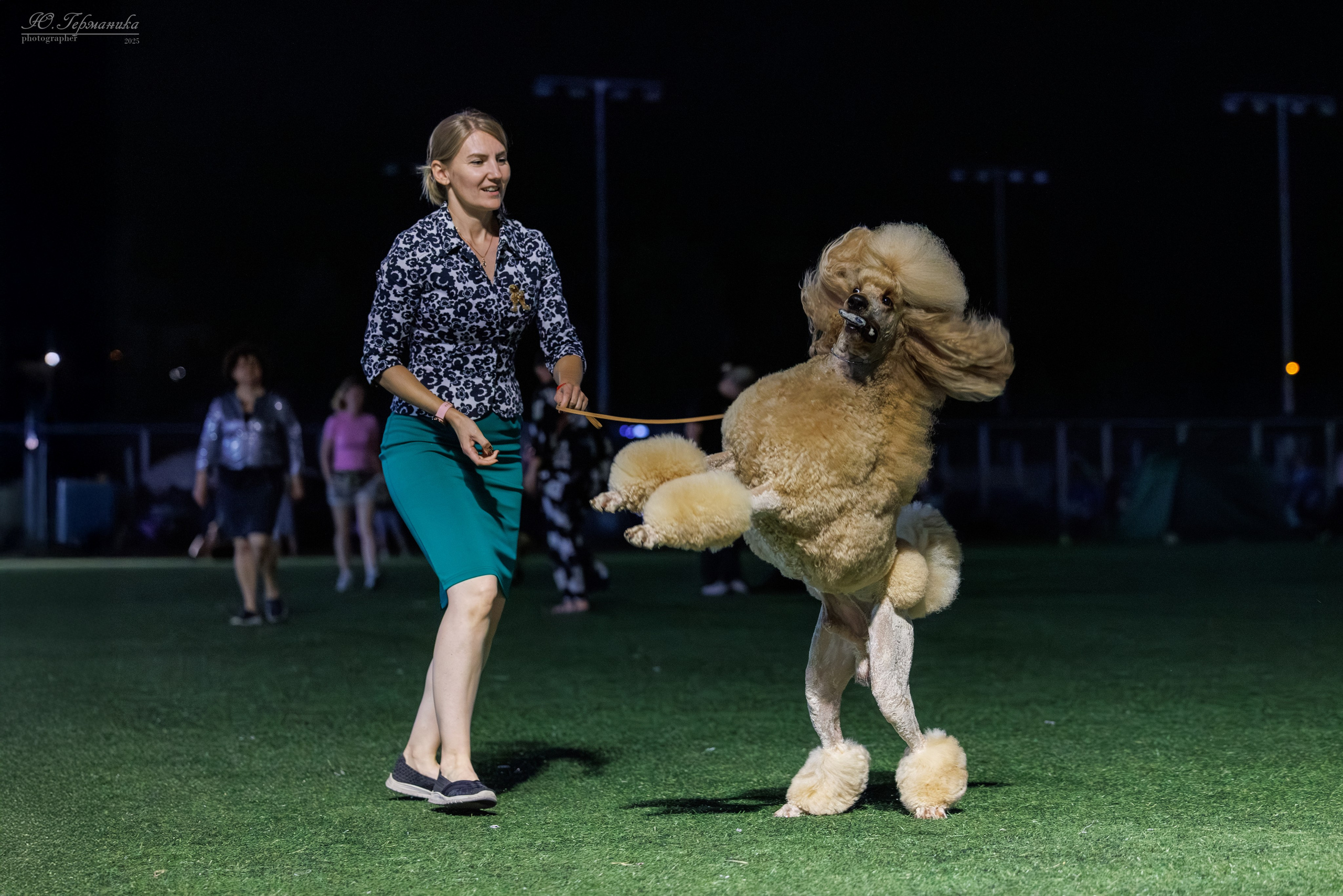 Калининград 25-27.07 Волгоград 1-3.08 2025. Фотограф-анималист Юлия Германика
