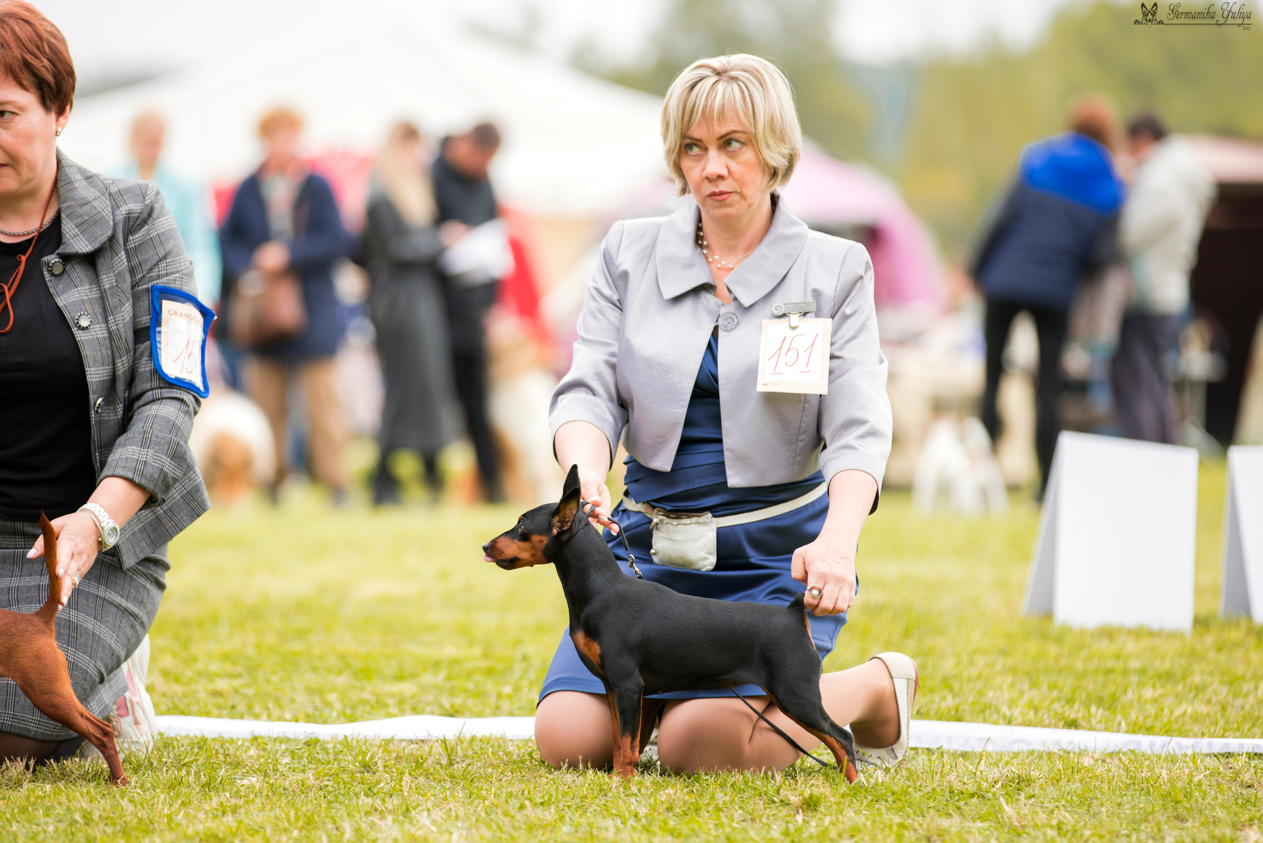 Переславль 9-10.09.2023. Фотограф-анималист Юлия Германика