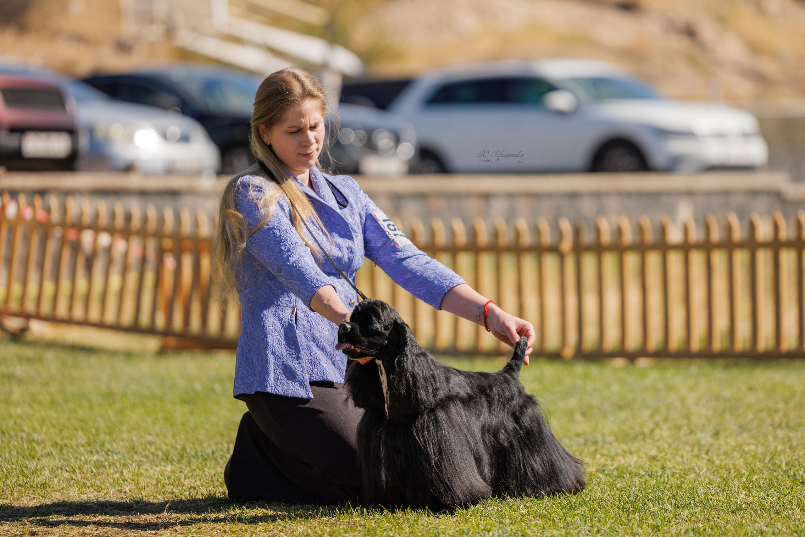 Ереван 14-16.10.2025. Фотограф-анималист Юлия Германика