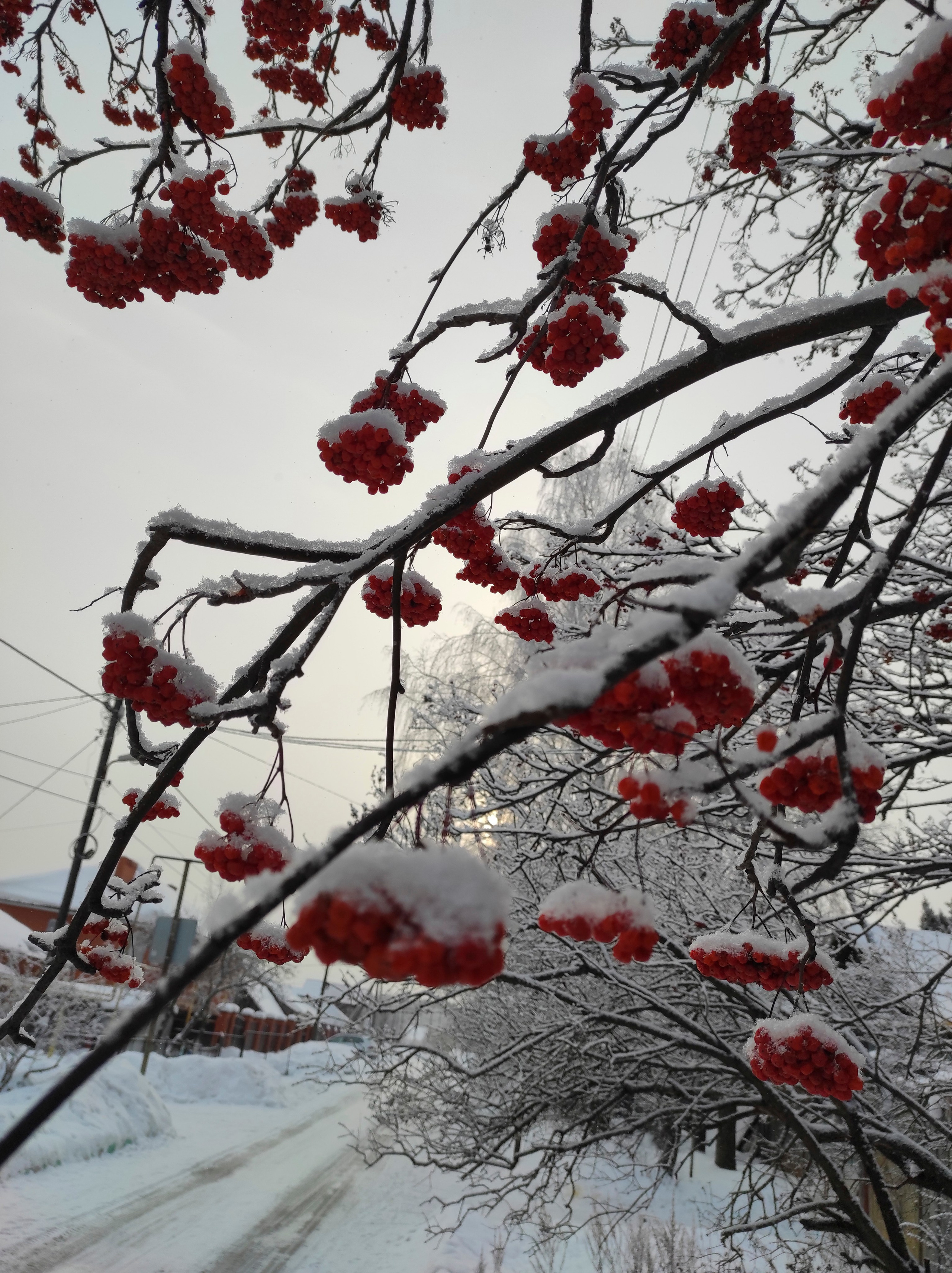Вдохновение. Бутакова Елена фотограф в Екатеринбурге