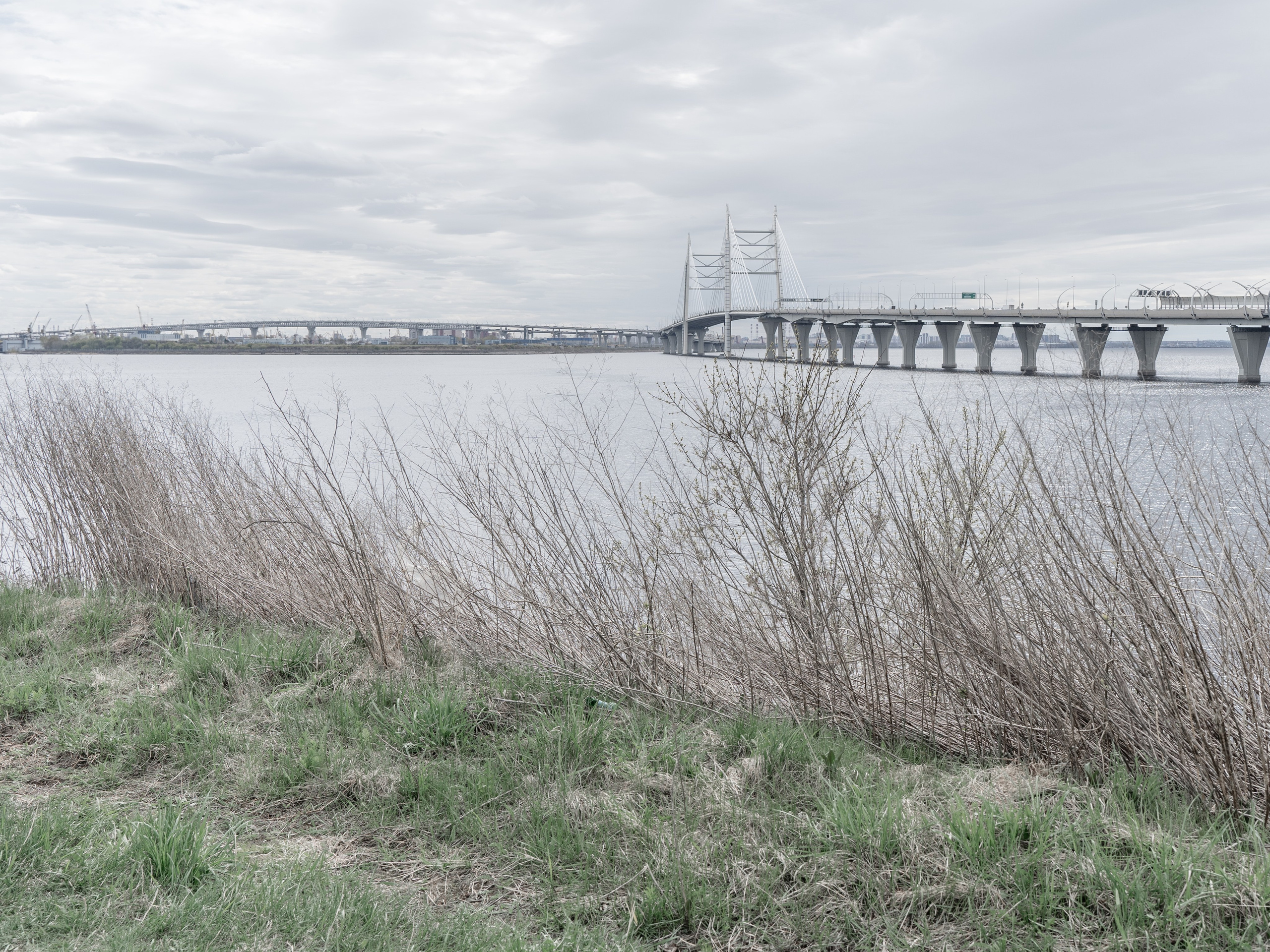 Линия воды. Ксения Доможилова