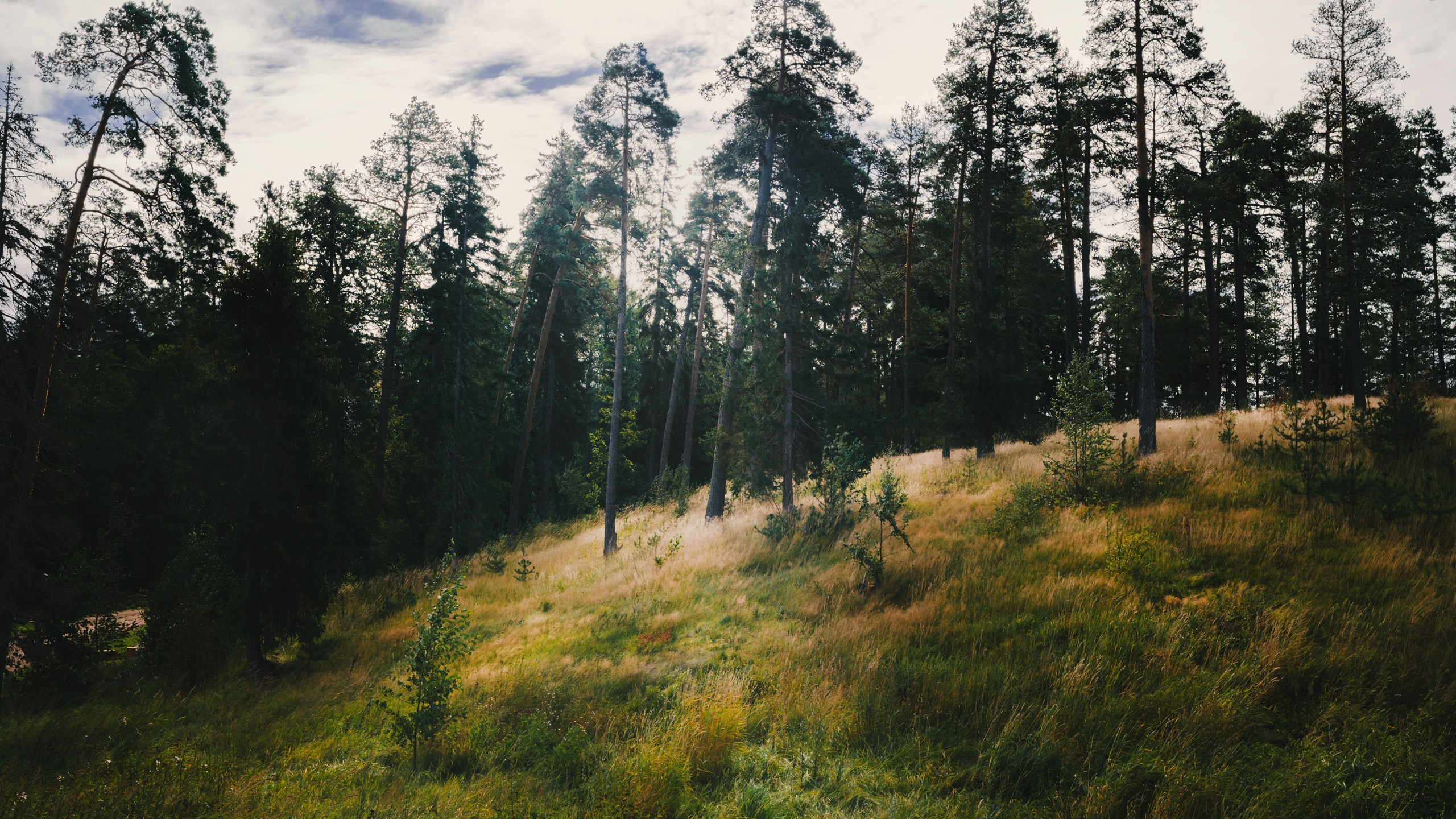 Карелия. Komonev