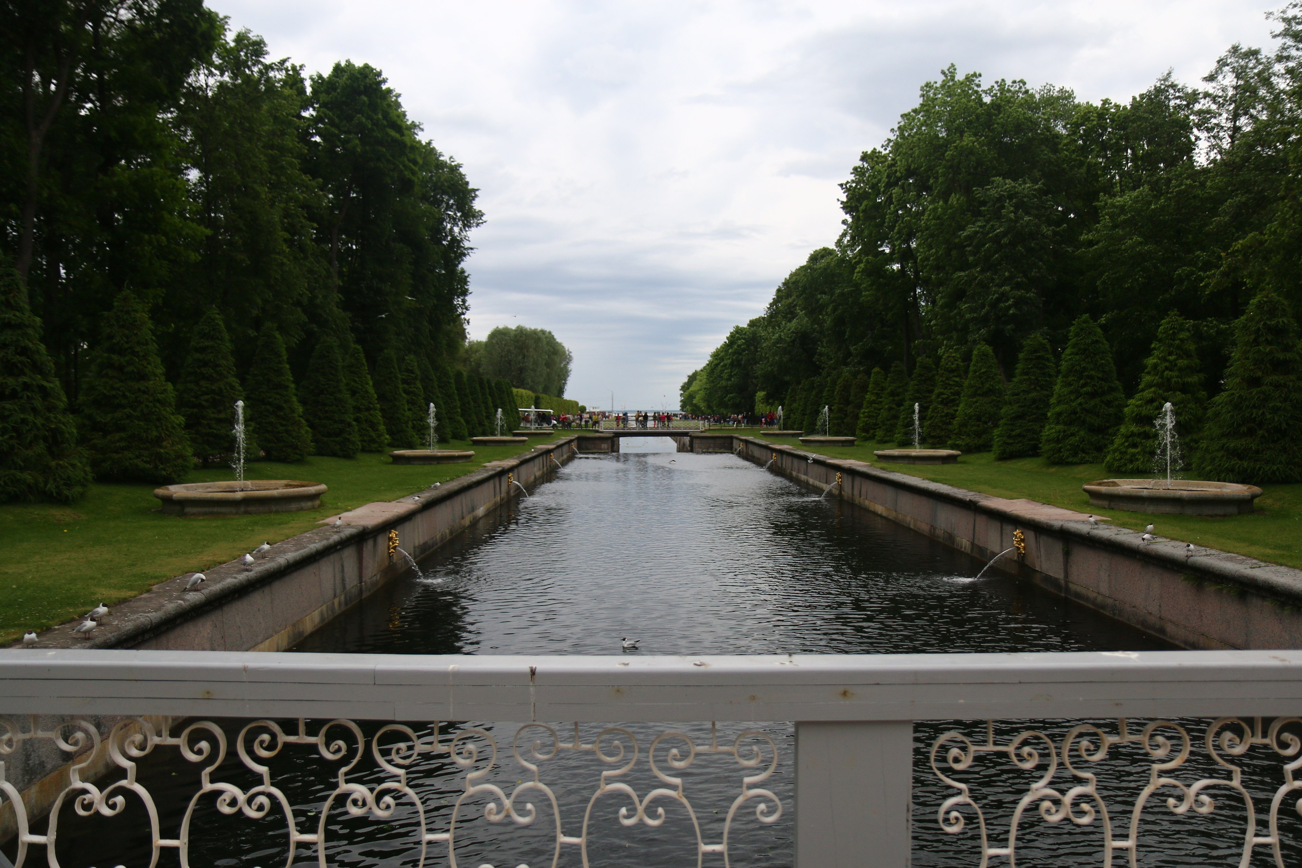 Питер 2016 г. Улица, люди, жизнь…