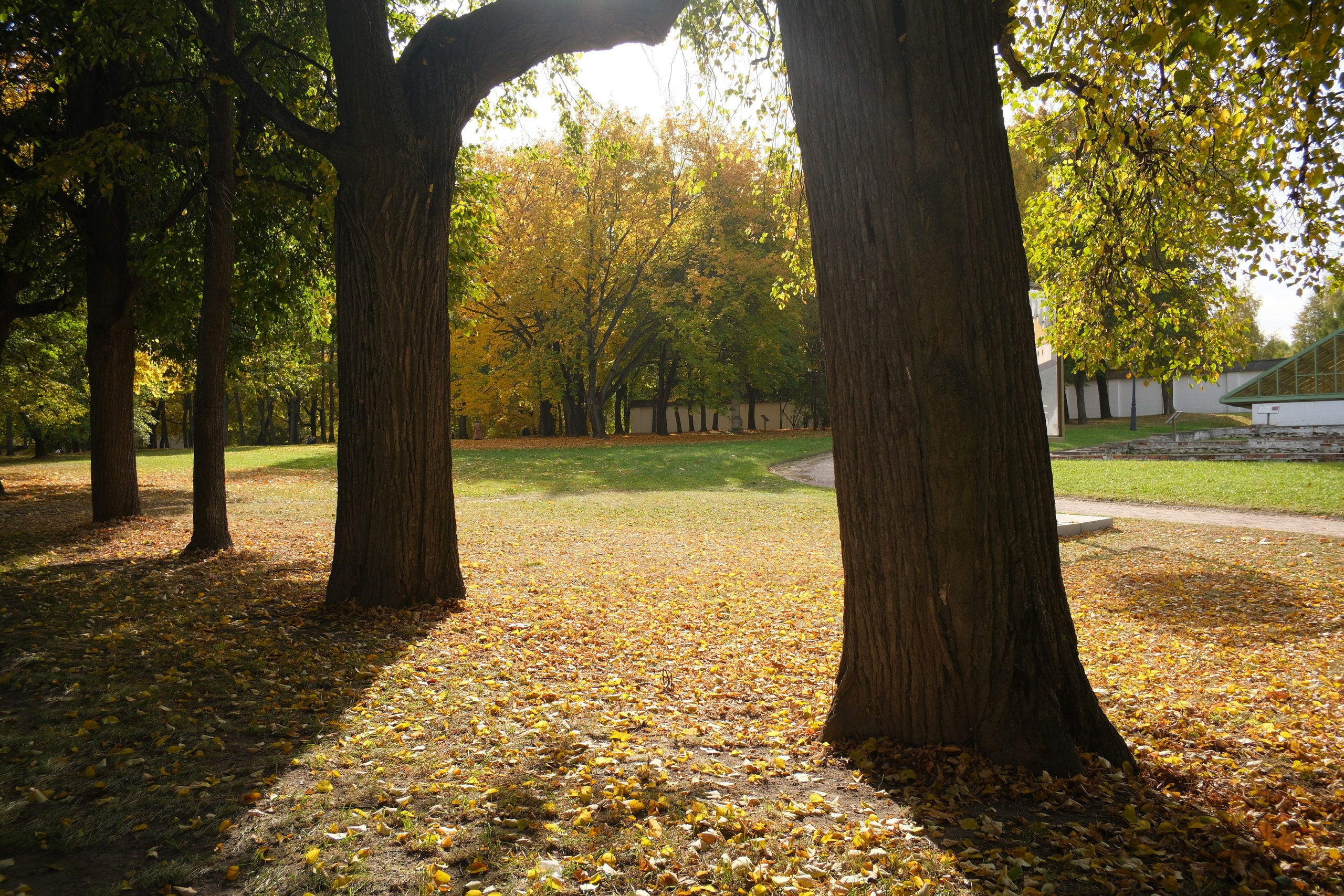 Коломенское 04.10.2025. Улица, люди, жизнь…