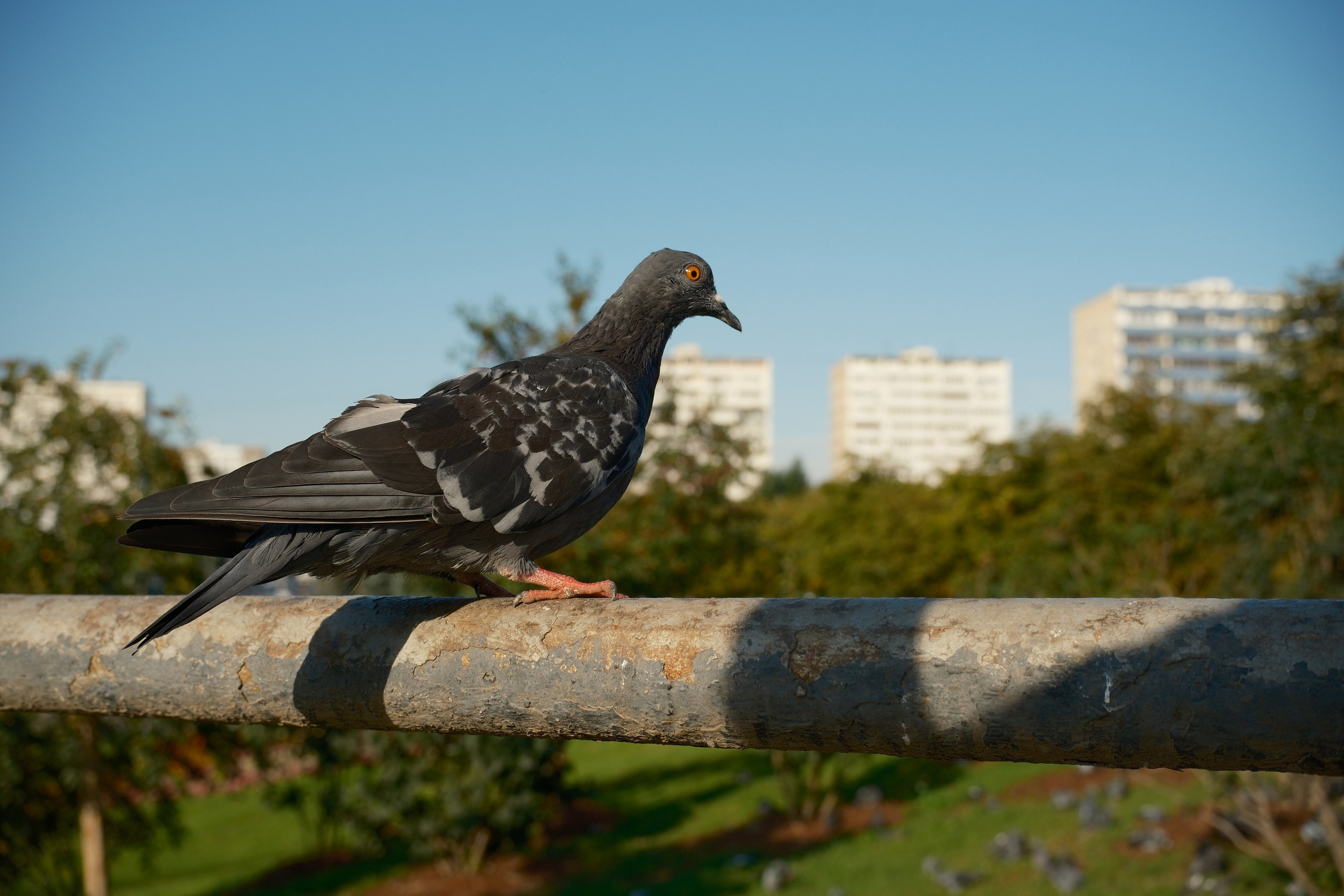 Сентябрь 2025. Улица, люди, жизнь…