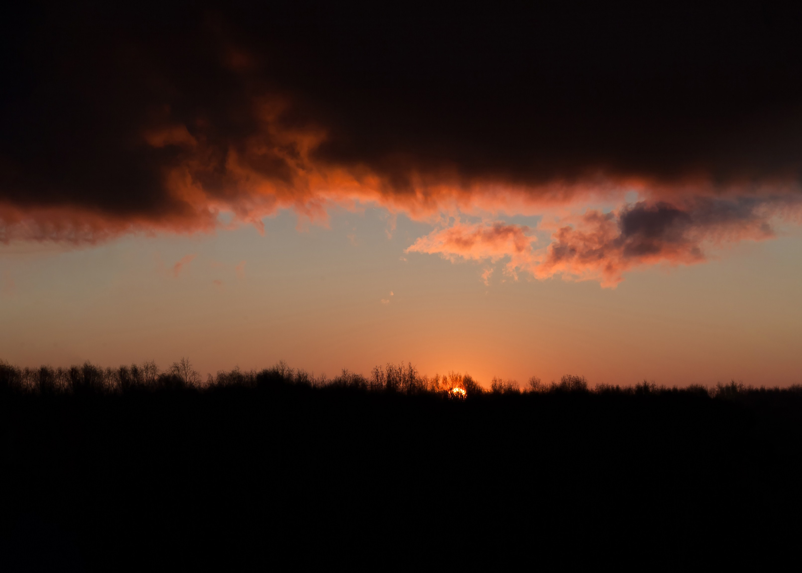 Природа и пейзажи / Nature and landscapes. Visual artist Olga Burmistrova