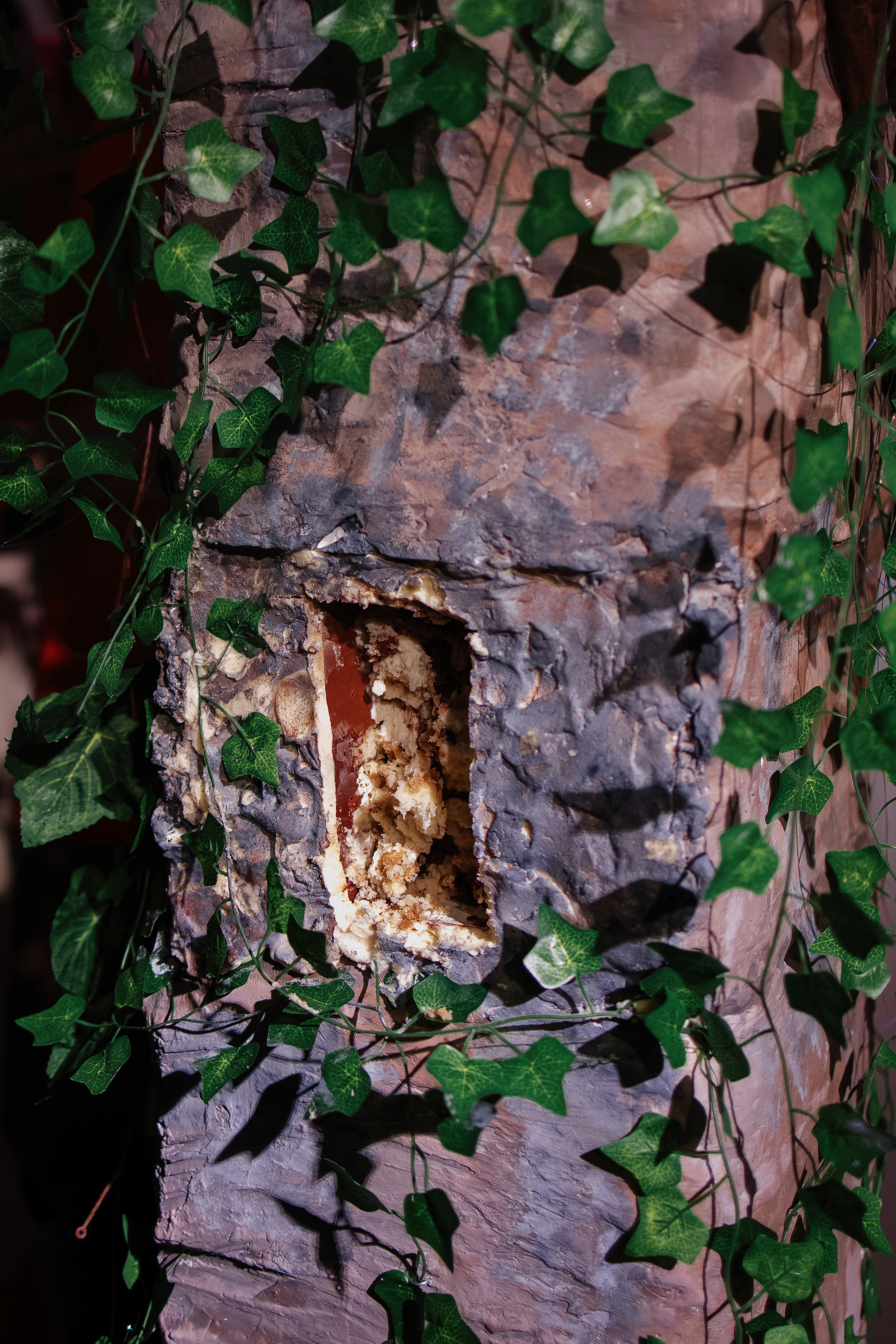 Шоу тортов 2. Свадебный фотограф