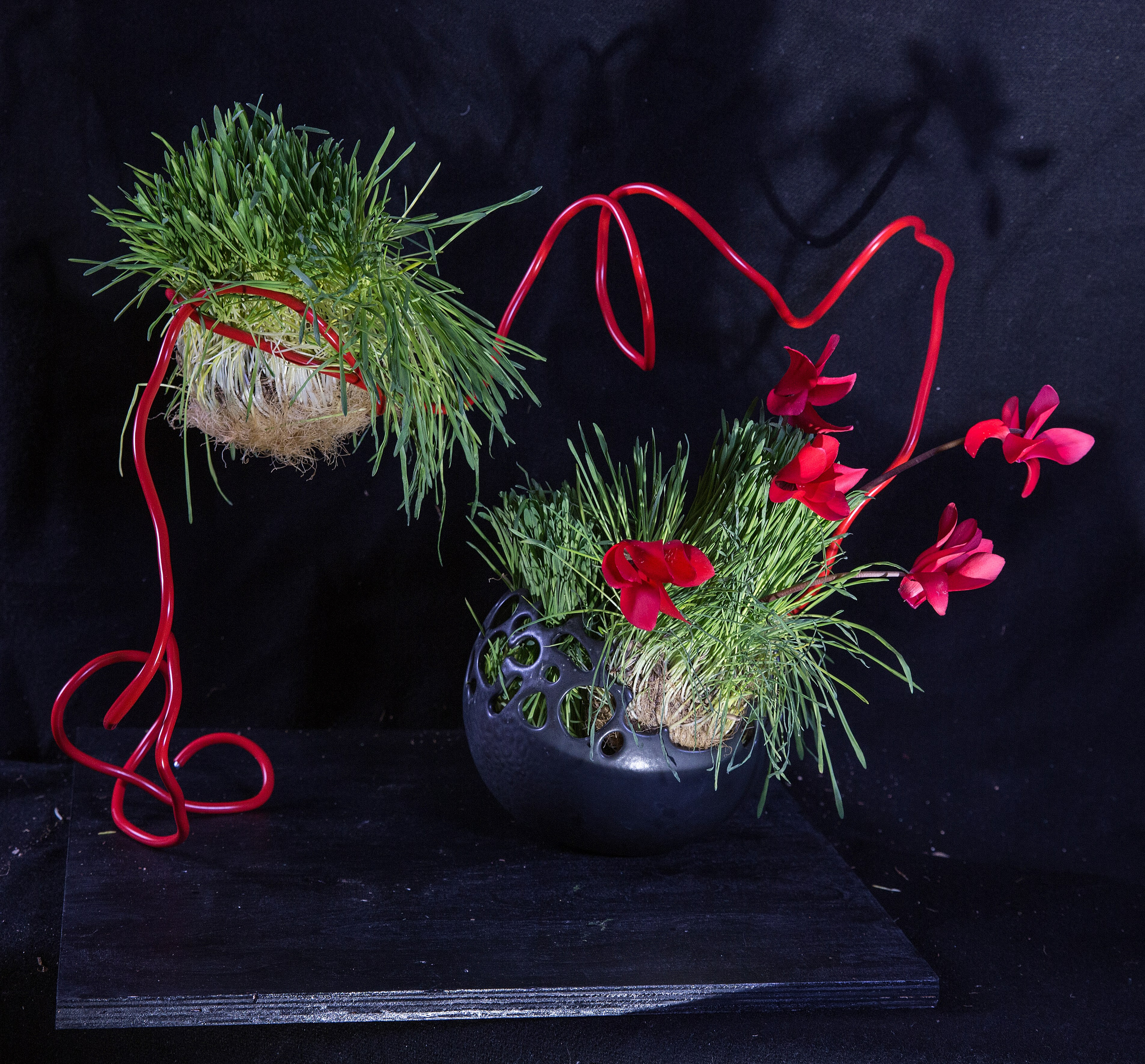 Икэбана Барне. Фотограф Анна Барне