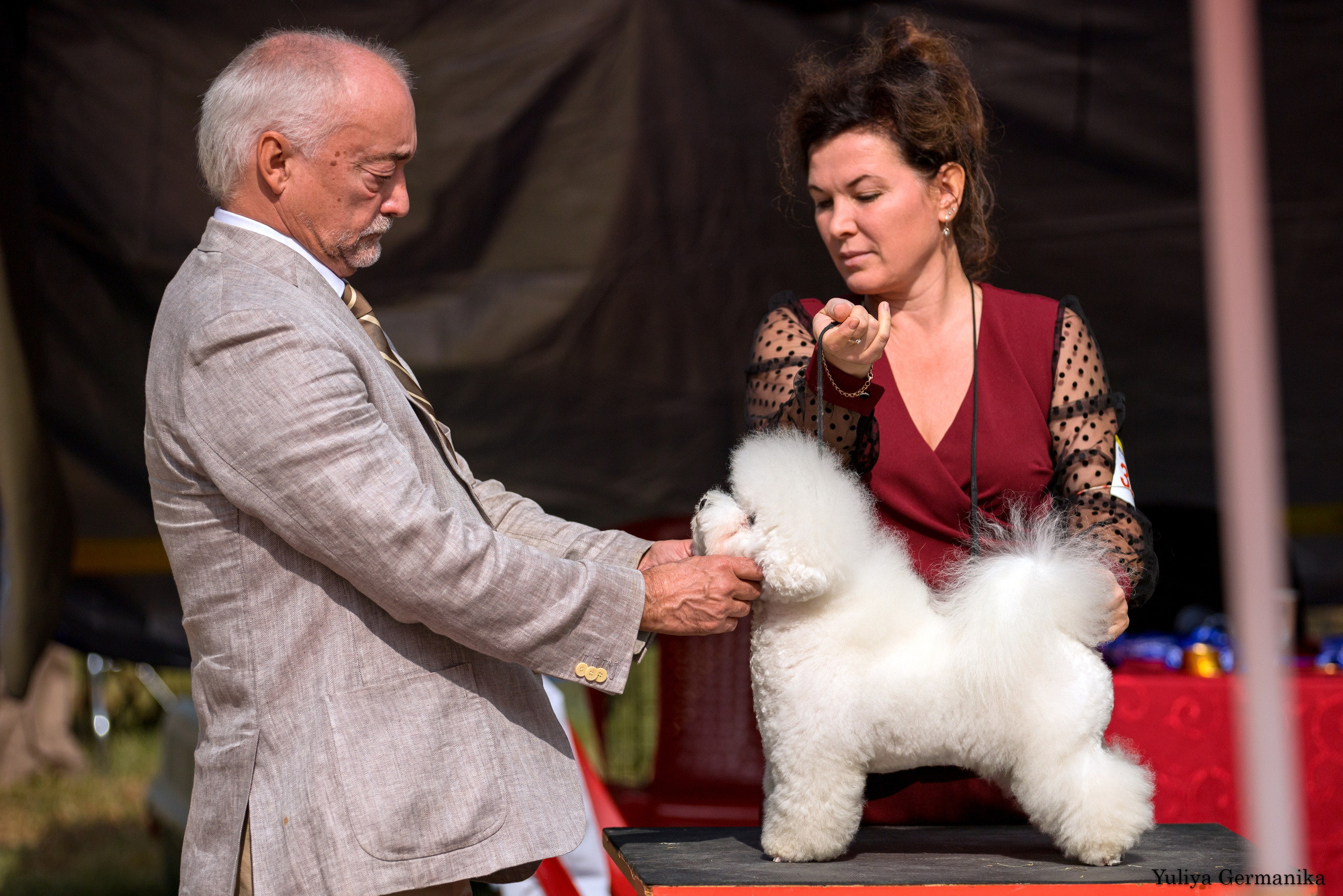 Ташкент 6-8.10.2023 + Алматы 14-15.10.2023. Фотограф-анималист Юлия Германика