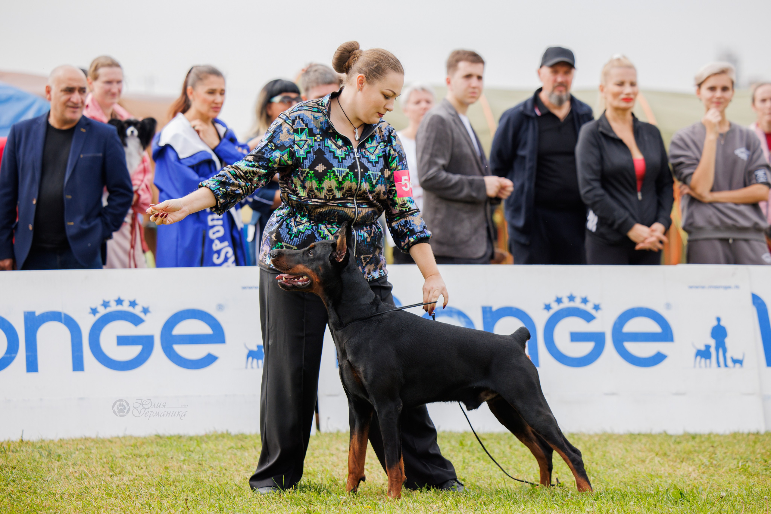 Армения,Ереван 3хCACIB 15-17.10.2024. Фотограф-анималист Юлия Германика