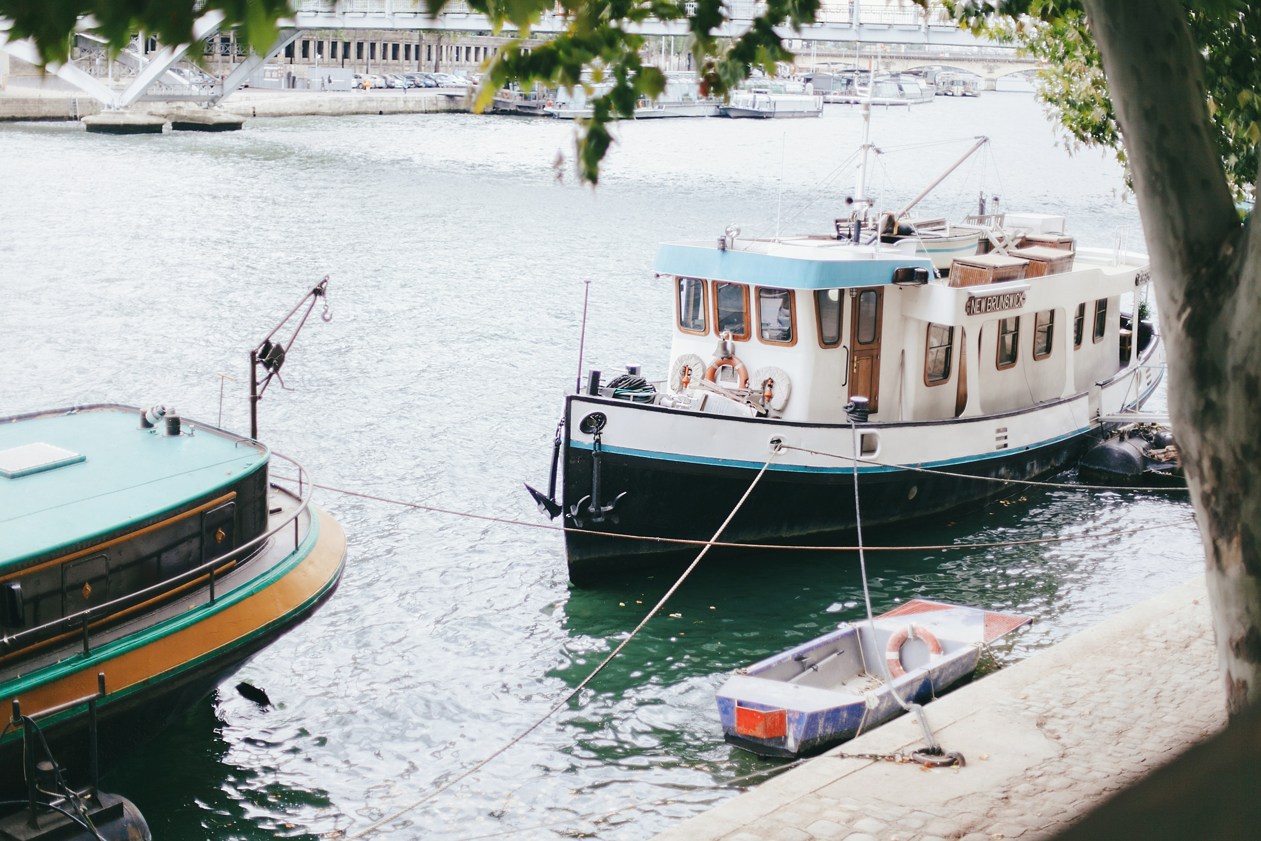 Париж. Аня Степанова