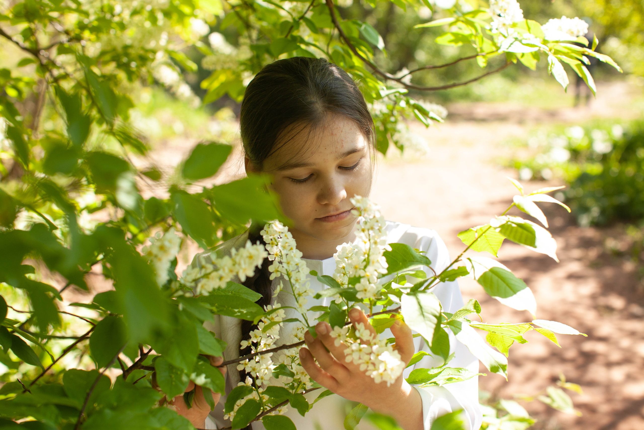 Летний день. Art my Pho