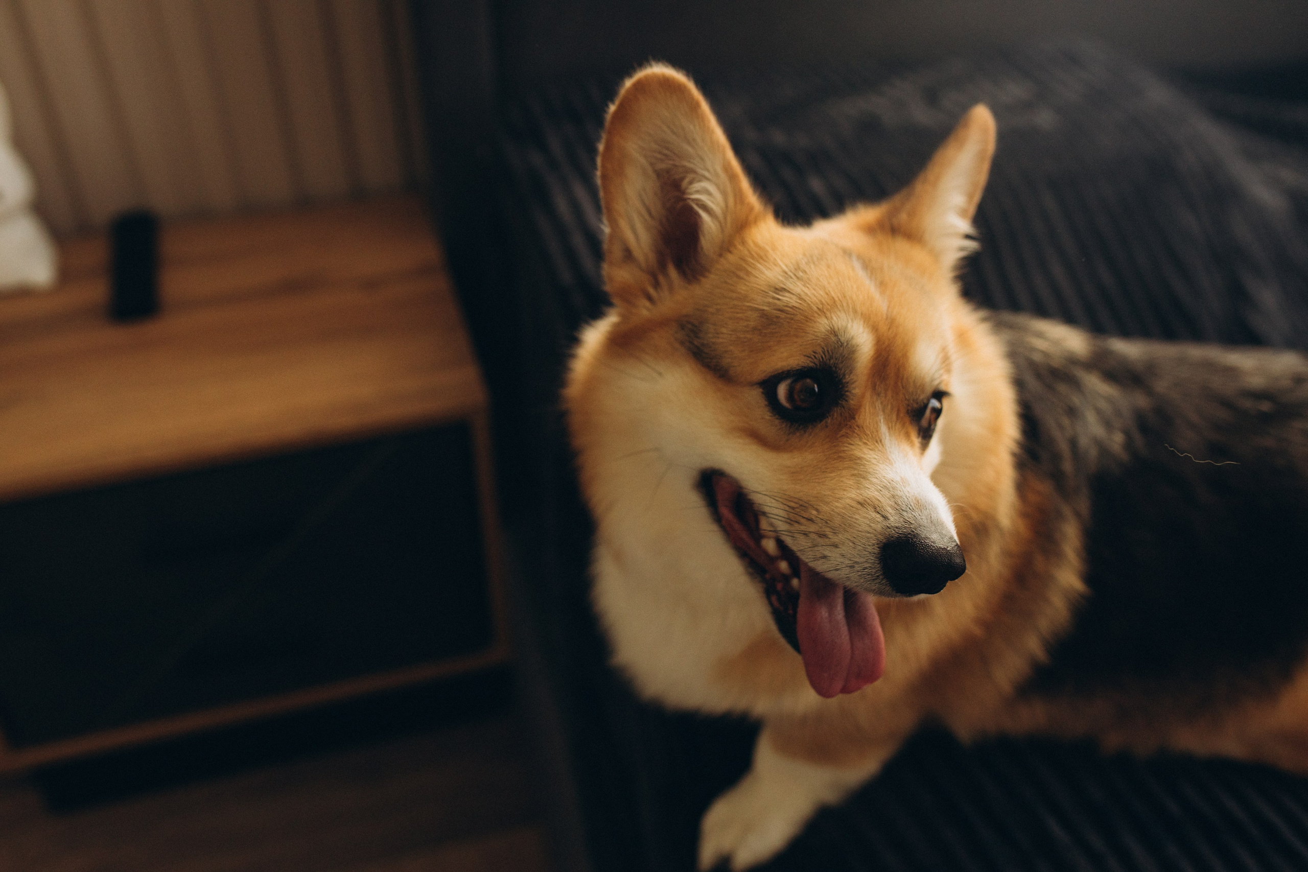 Домашняя. Семейный фотограф в Обнинске