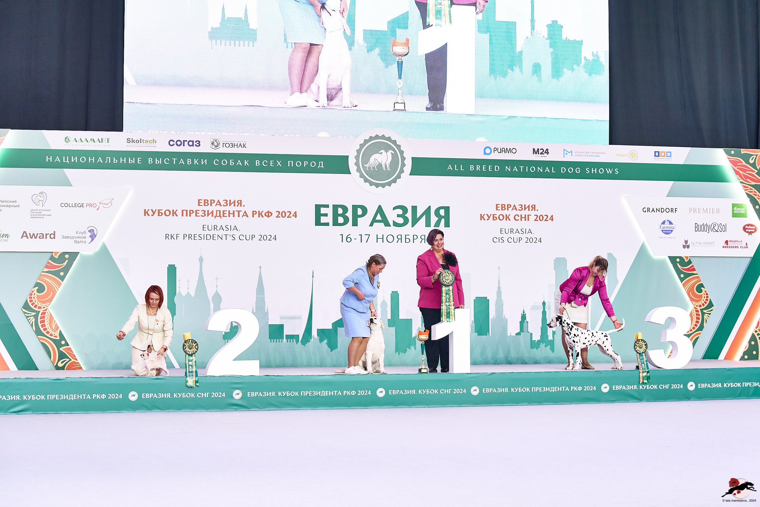 16.11.2024 «ЕВРАЗИЯ. КУБОК ПРЕЗИДЕНТА РКФ 2024»