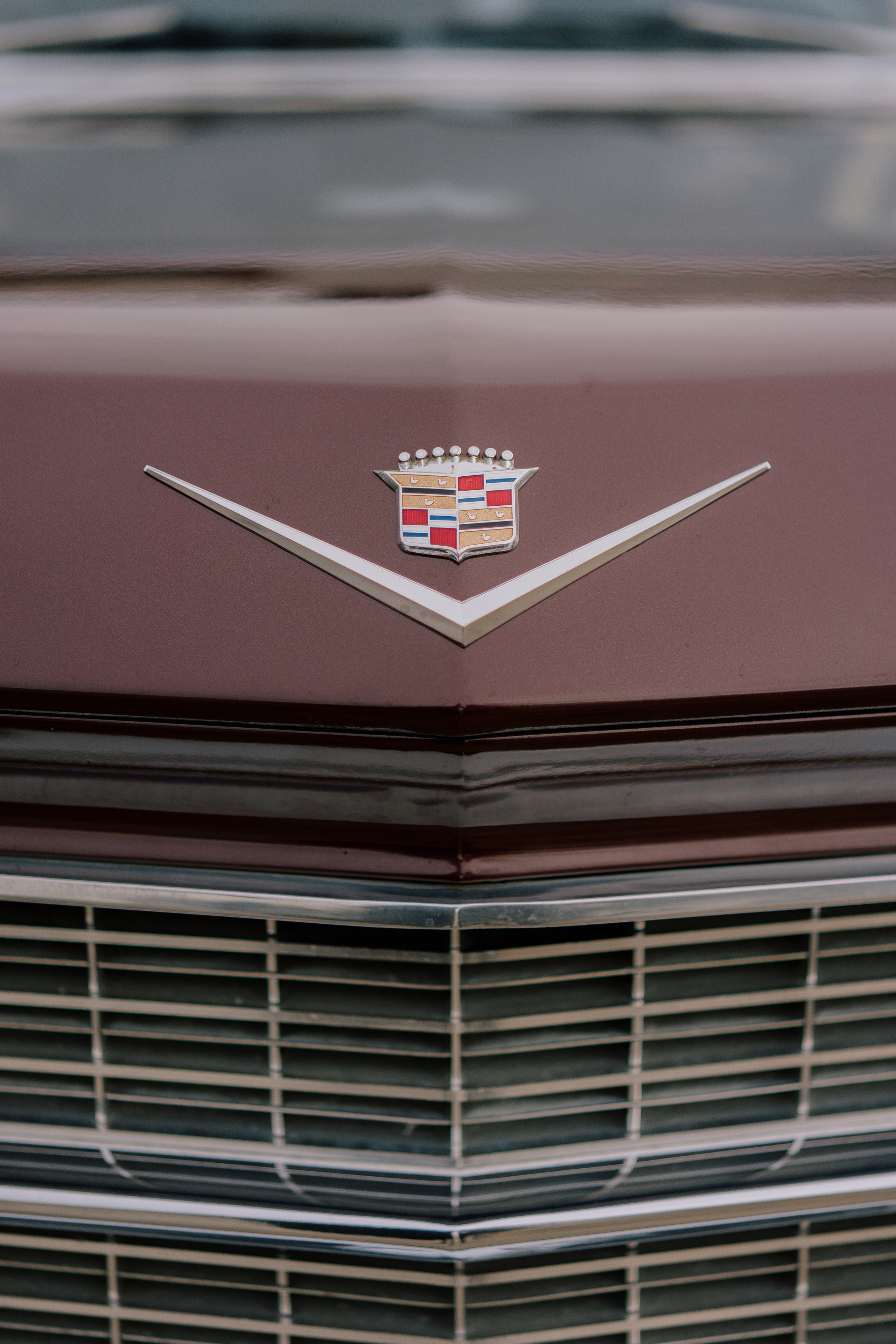 Лиза и Вова. Свадебный фотограф Воронеж