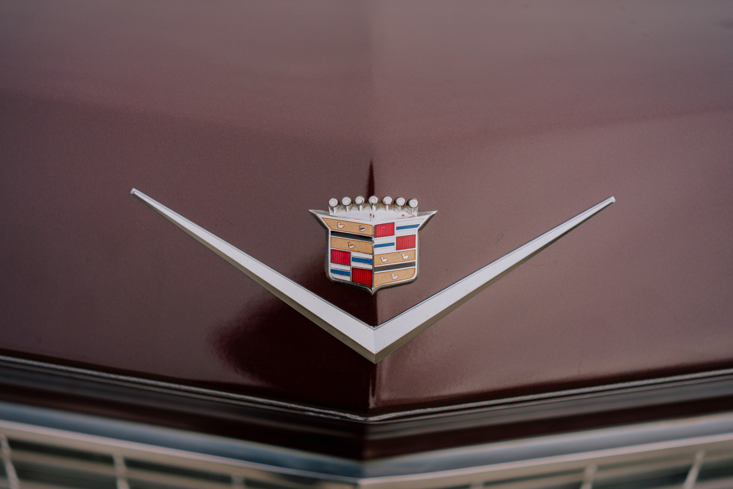 Лиза и Вова. Свадебный фотограф Воронеж