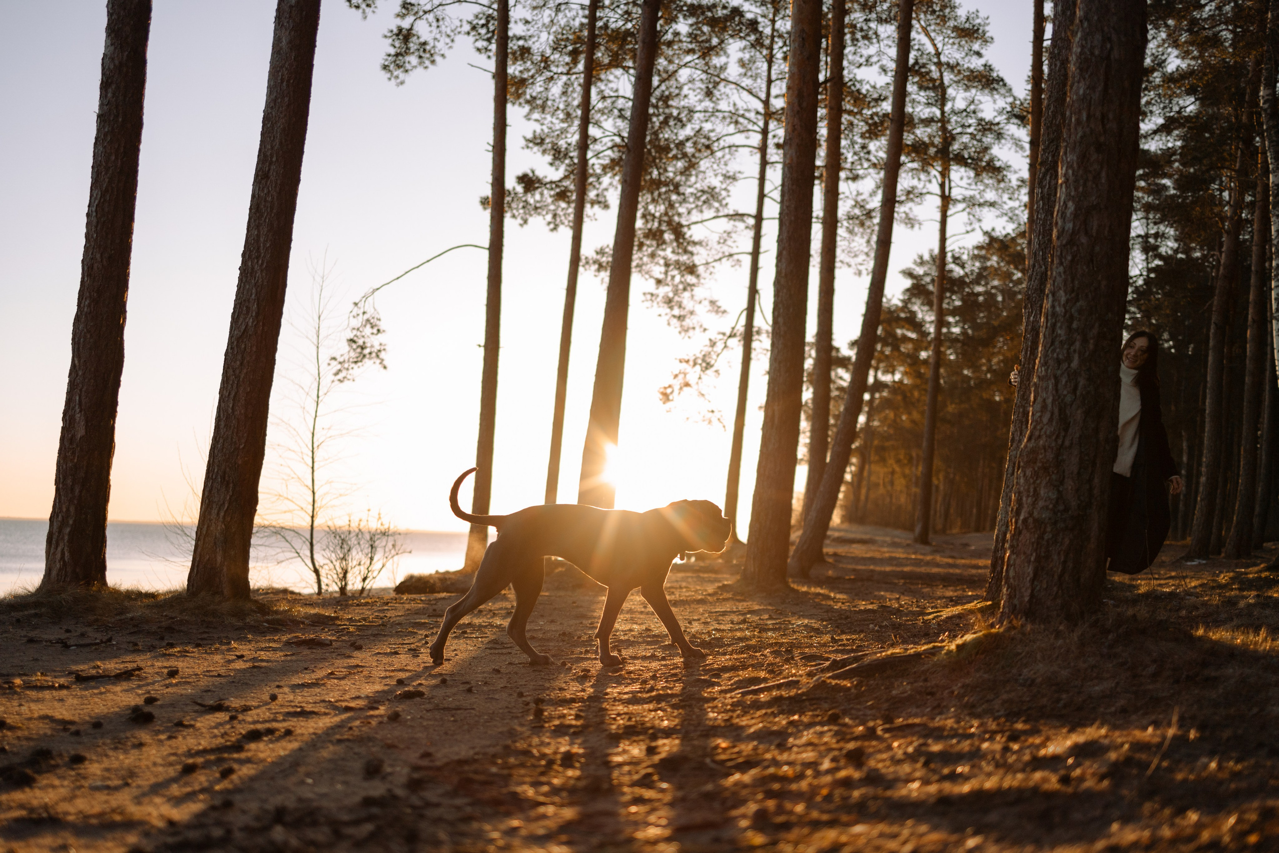 Анна и Лана. Фотограф — Анималист | Санкт-Петербург
